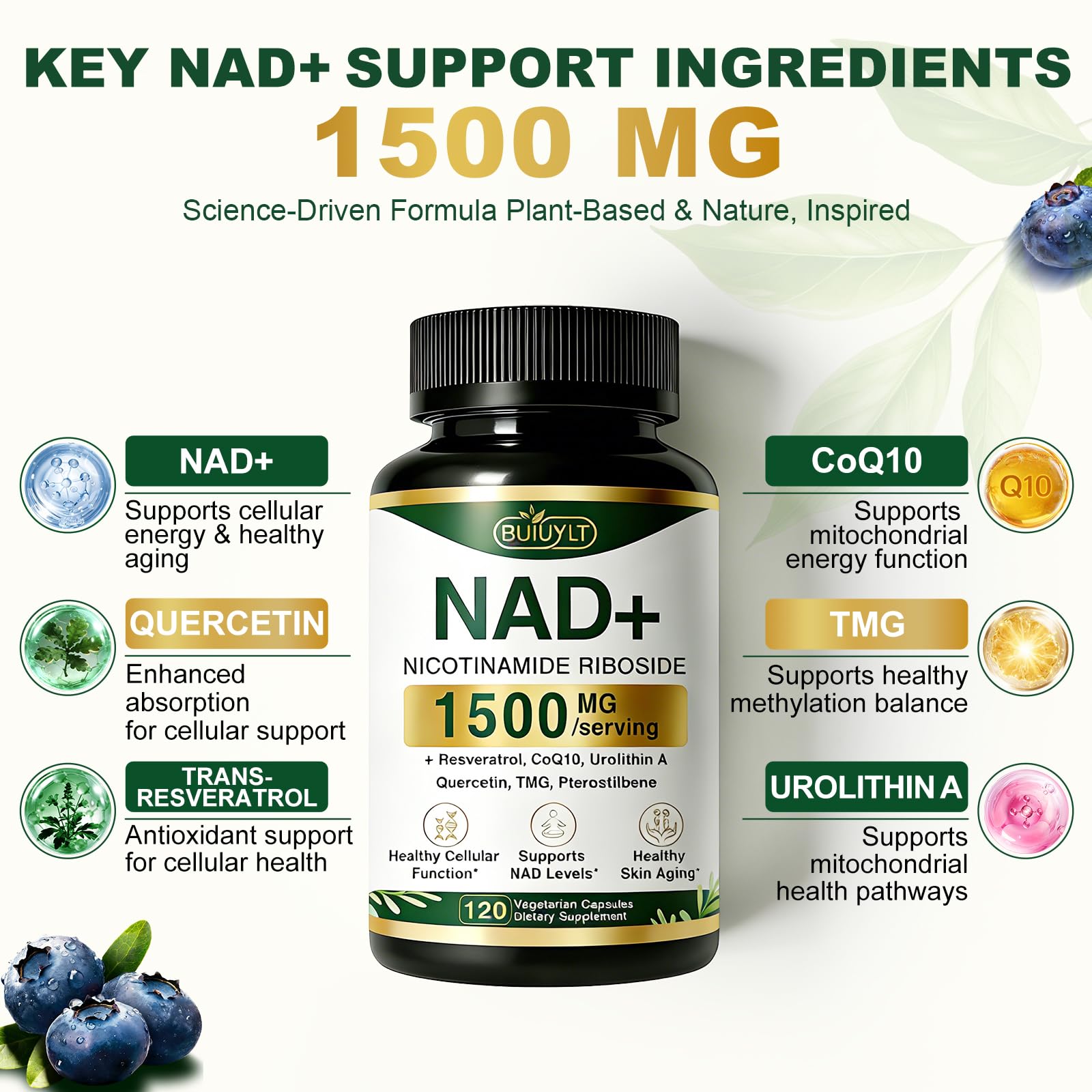 BUIUYLT NAD+ Supplement 1500mg, NR NMN Replacement with Resveratrol, Urolithin A, CoQ10 & Quercetin for Cellular Energy, Healthy Aging & Stamina for Women & Men - 120 Capsules BUIUYLT uk supplements