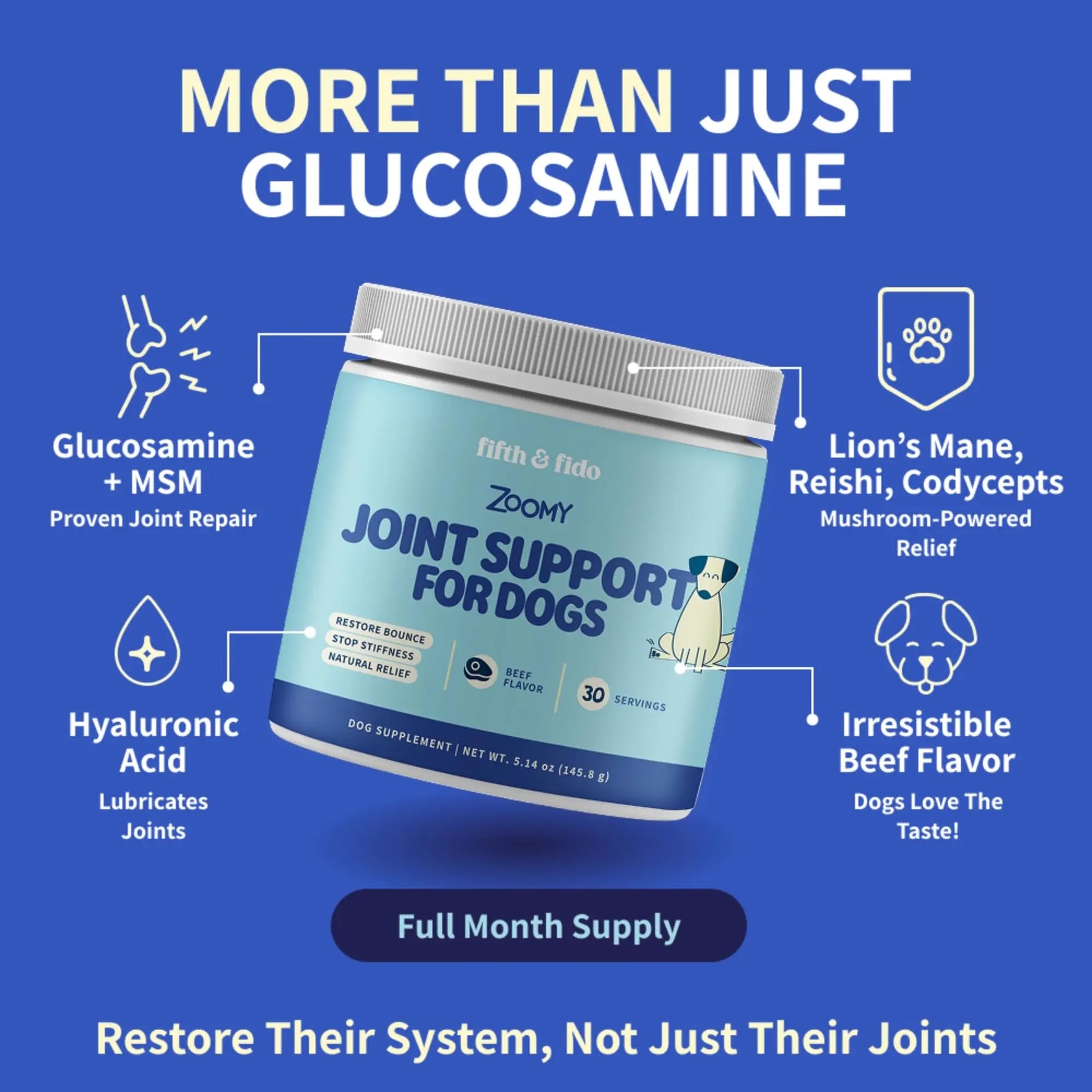 Fifth & Fido Joint Supplement for Dogs - Glucosamine for Dogs - Pet Vitamins and Supplements Powder with Chondroitin & MSM - Hip & Joint Support for Mobility, Stiffness & Flexibility - Mushroom Blend Fifth & Fido uk supplements