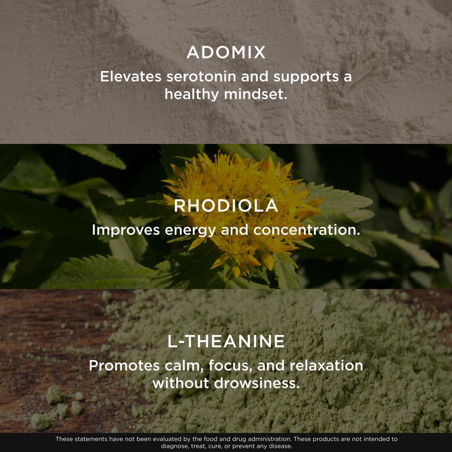 Genius Joy, Nootropic Mood Enhancer Supplement - Support Cognitive Health, Enhance Mood & Neural Function with Brain Boosting L-Theanine, Panax Ginseng & SAM-e - Organic, Non-GMO, & Gluten-Free The Genius Brand uk supplements