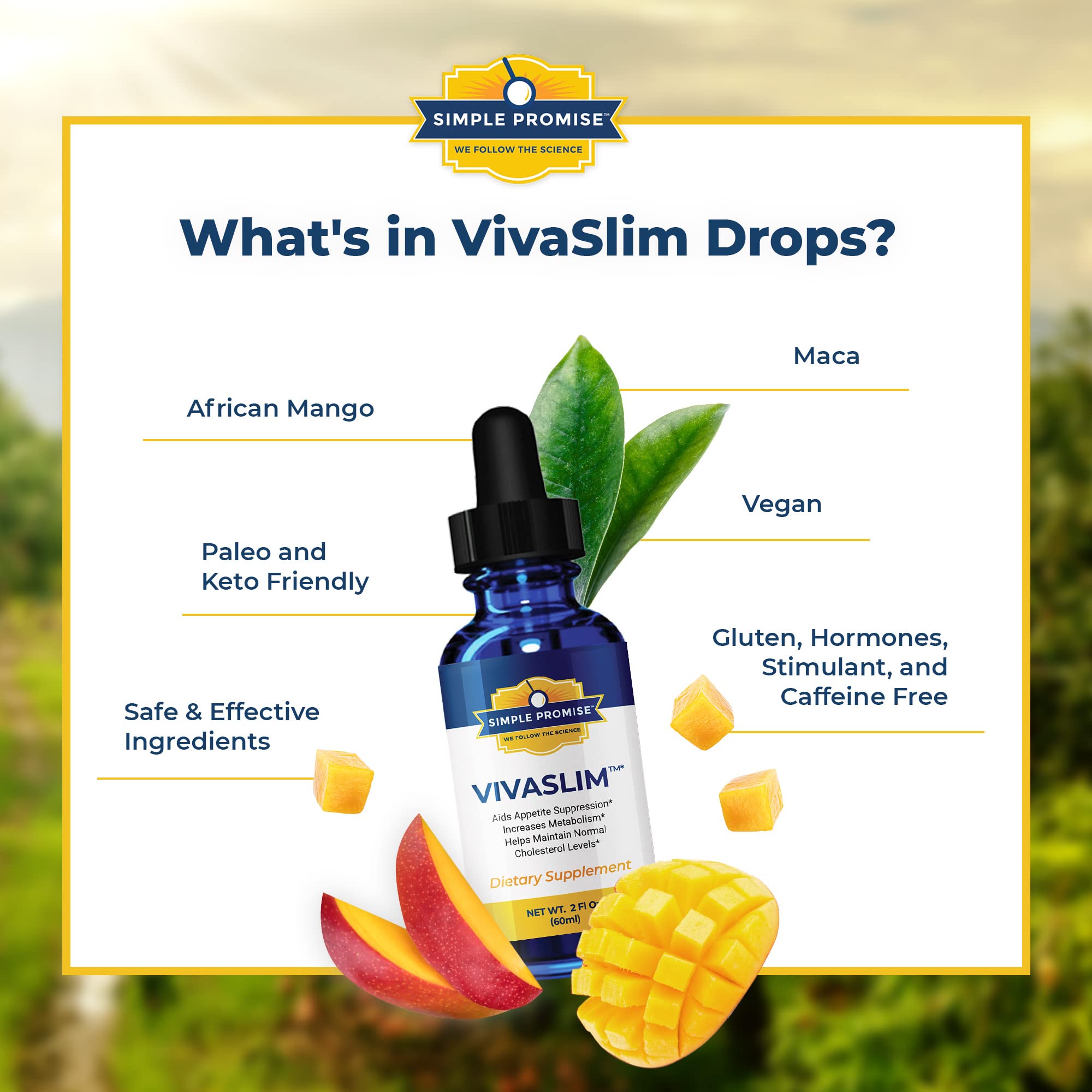 Simple Promise - VivaSlim - Natural Liquid Drops with African Mango, 2 fl oz Simple Promise uk supplements