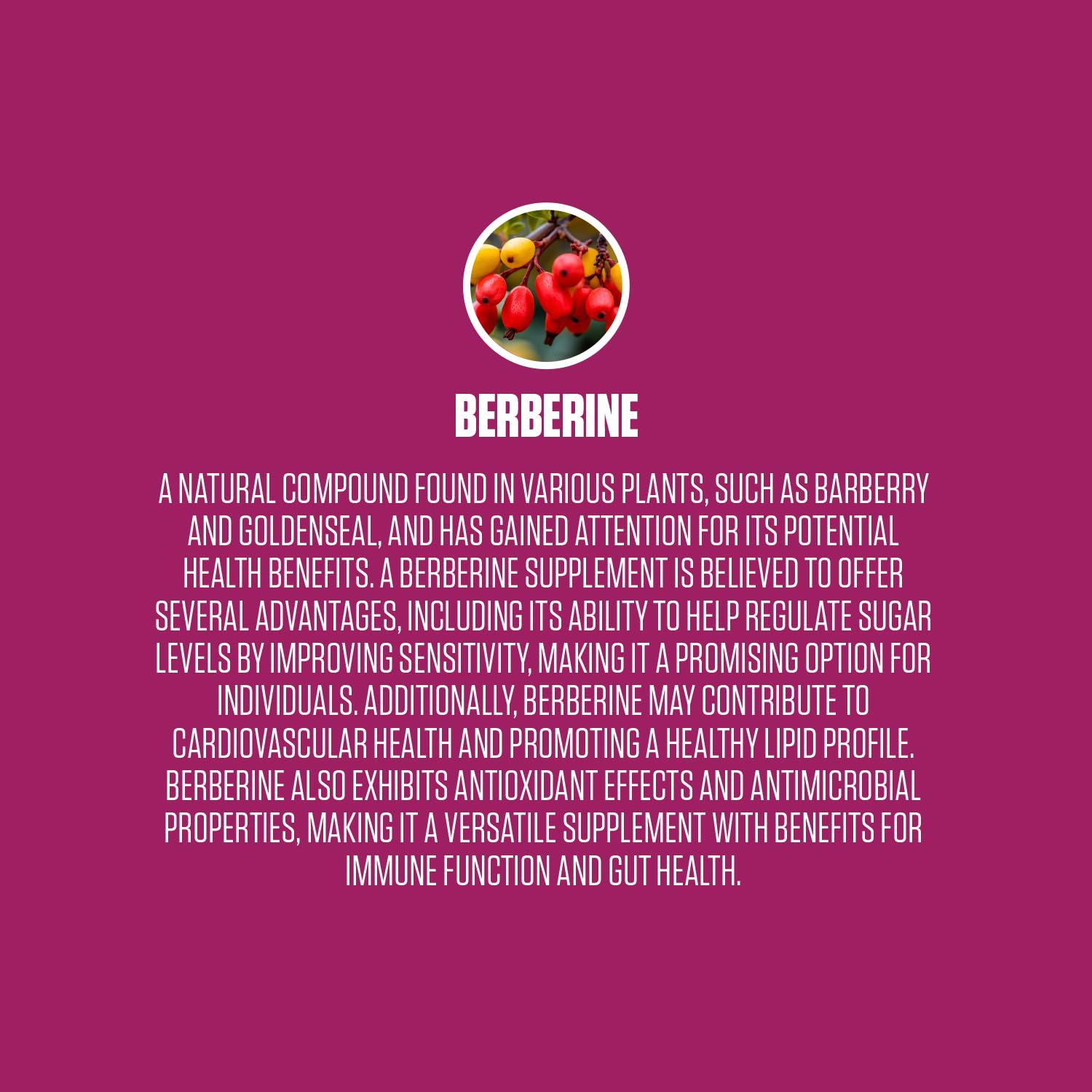 Berberine Extra Strength | #1 Rated Berberine Supplement for Heart Health, Improve Energy EPN Supplements uk supplements