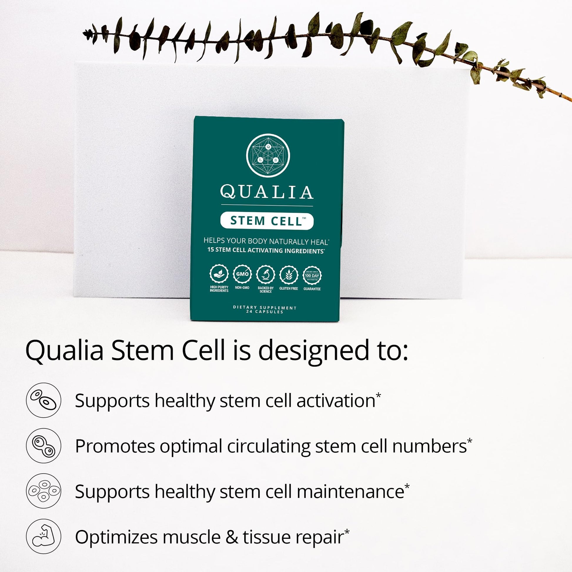 Qualia Stem Cell — Stem Cell Supplement Support with Royal Jelly, Astragalus & Sea Buckthorn | 16 Ingredients | 4 Days a Month | Helps Body Naturally heal* QUALIA LIFE SCIENCES uk supplements