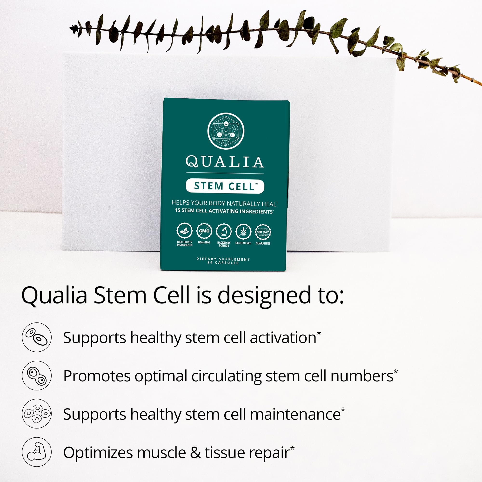 Qualia Stem Cell — Stem Cell Supplement Support with Royal Jelly, Astragalus & Sea Buckthorn | 16 Ingredients | 4 Days a Month | Helps Body Naturally heal* QUALIA LIFE SCIENCES uk supplements