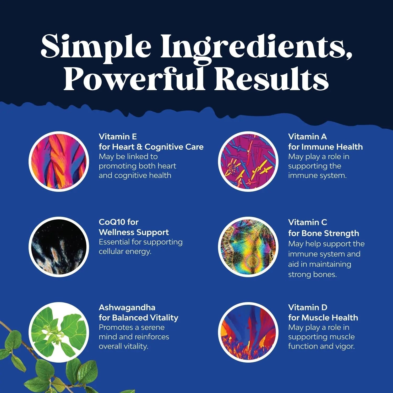 Bundle of Daily Mens Multivitamins Gummies with Zinc and Biotin for Energy and Immunity and Daily Multivitamin for Women Gummies - Gummy Vitamins for Health and Wellness Natures Craft uk supplements