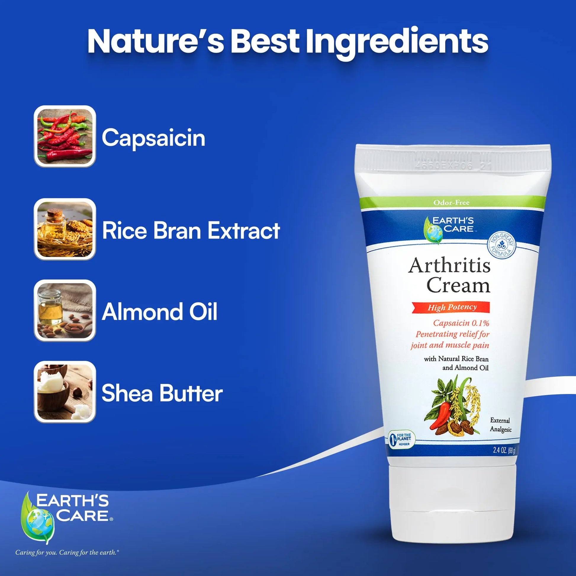 Earth's Care Arthritis Cream - Joint Cream with Natural Capsaicin - Topical Analgesic 2.4 OZ (Pack of 2) Earth's Care uk supplements