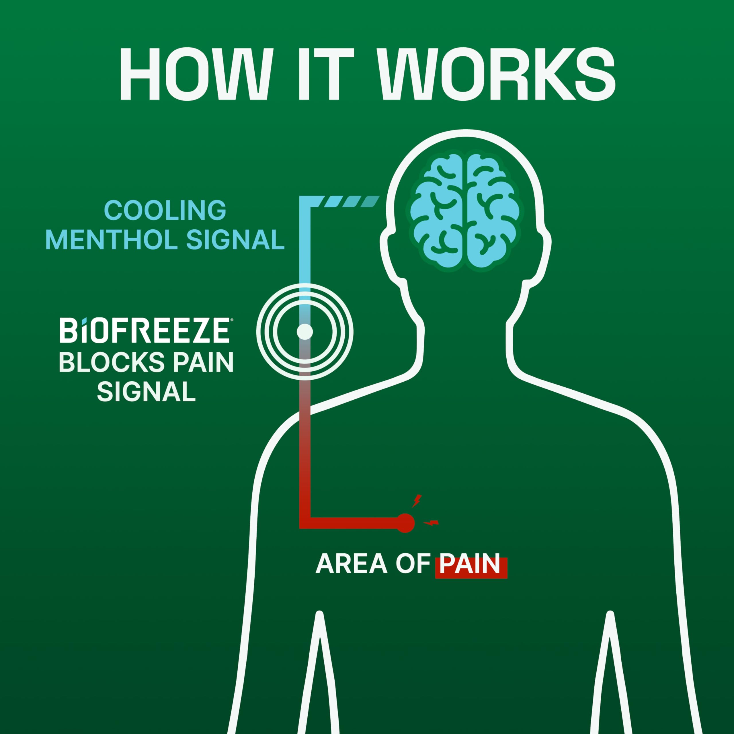 Biofreeze Menthol Pain Relieving Patches (5 Patches Per Box) Up To 8 Hours Of Pain Relief From Sore Muscles, Arthritis, Backaches, Spains, Bruises, Strains And Joint Pain (Package May Vary) Biofreeze uk supplements
