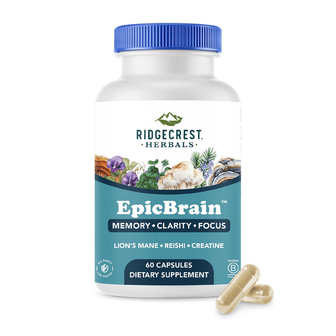 RidgeCrest Herbals EpicBrain, Natural Brain Support Supplement with Creatine Monohydrate, Lion's Mane, Reishi, Supports Mental Clarity, Memory, Focus, Stimulant-Free Nootropic (60 Count, 30 Servings) RidgeCrest Herbals uk supplements