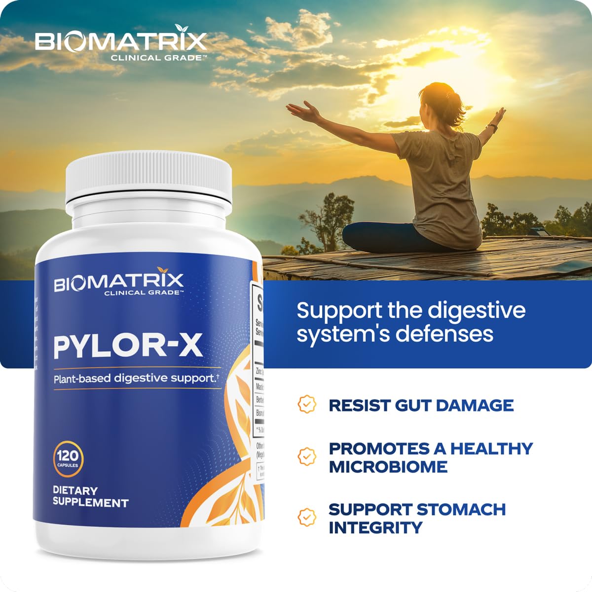 BioMatrix Pylor-X Gut Health Supplement – Mastic Gum, Berberine, Zinc Carnosine & Bismuth Salts for Gastric Support, Digestive Comfort, Stomach Lining Protection - (120 Capsules) 30-60 Day Supply BioMatrix uk supplements