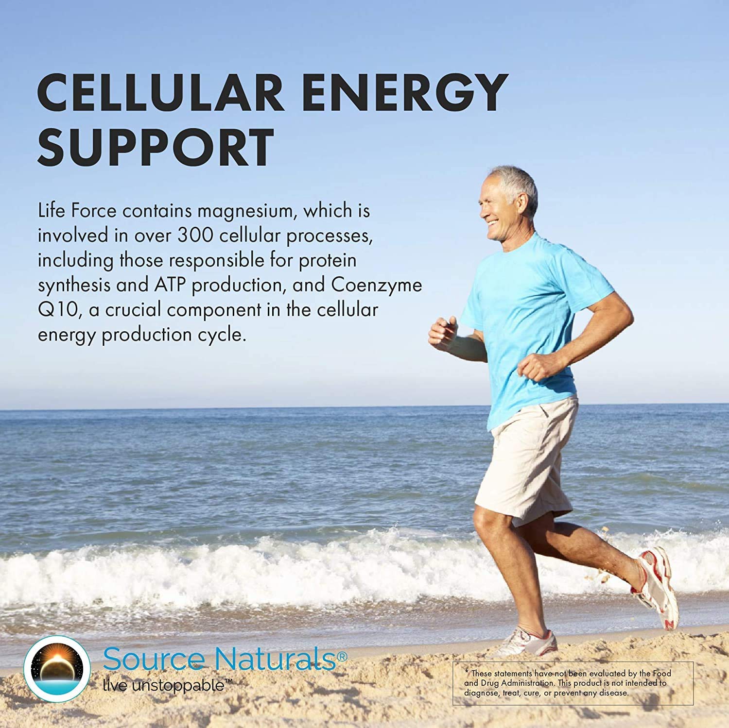 Source Naturals Life Force Multiple Iron Free Daily Multivitamin High Potency Essential Vitamins, Minerals, Antioxidants & Nutrients - Energy & Immune Boost* - 60 Capsules Source Naturals uk supplements