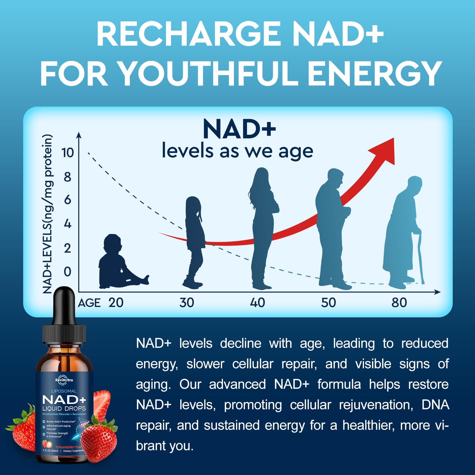 Liposomal NAD+ Liquid Supplement, Nad Resveratrol Supplement for Women & Men, Nicotinamide Riboside with PQQ, CoQ10, Quercetin for Anti-Aging, Brain, Cellular Energy Health, Strawberry Flavor, 2 Fl Oz ReviNutra uk supplements