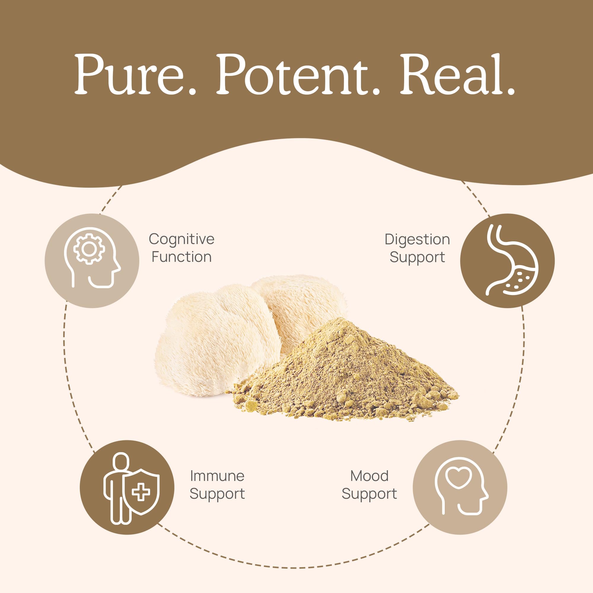 Real Mushrooms Lion’s Mane Powder - Organic Lions Mane Mushroom Extract Real Mushrooms uk supplements