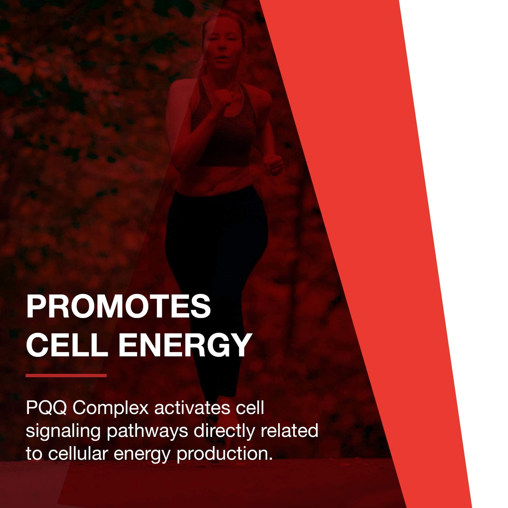 PROTOCOL FOR LIFE BALANCE PQQ Complex - Mitochondrial Health - with CoQ10 & L Carnitine - B Vitamin - Supplement for Energy - 30 Veg Caps PROTOCOL FOR LIFE BALANCE uk supplements
