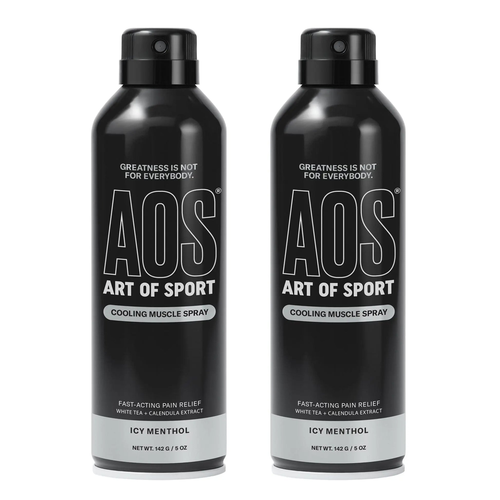 Art of Sport Muscle Relief Spray for Men – Cooling Menthol Pain Relief for Sore Muscles & Joints – Back, Neck, Knee, Shoulder, Hip – Fast-Acting Body Spray – Made for Athletes – 5 fl oz (2-Pack) Art of Sport uk supplements