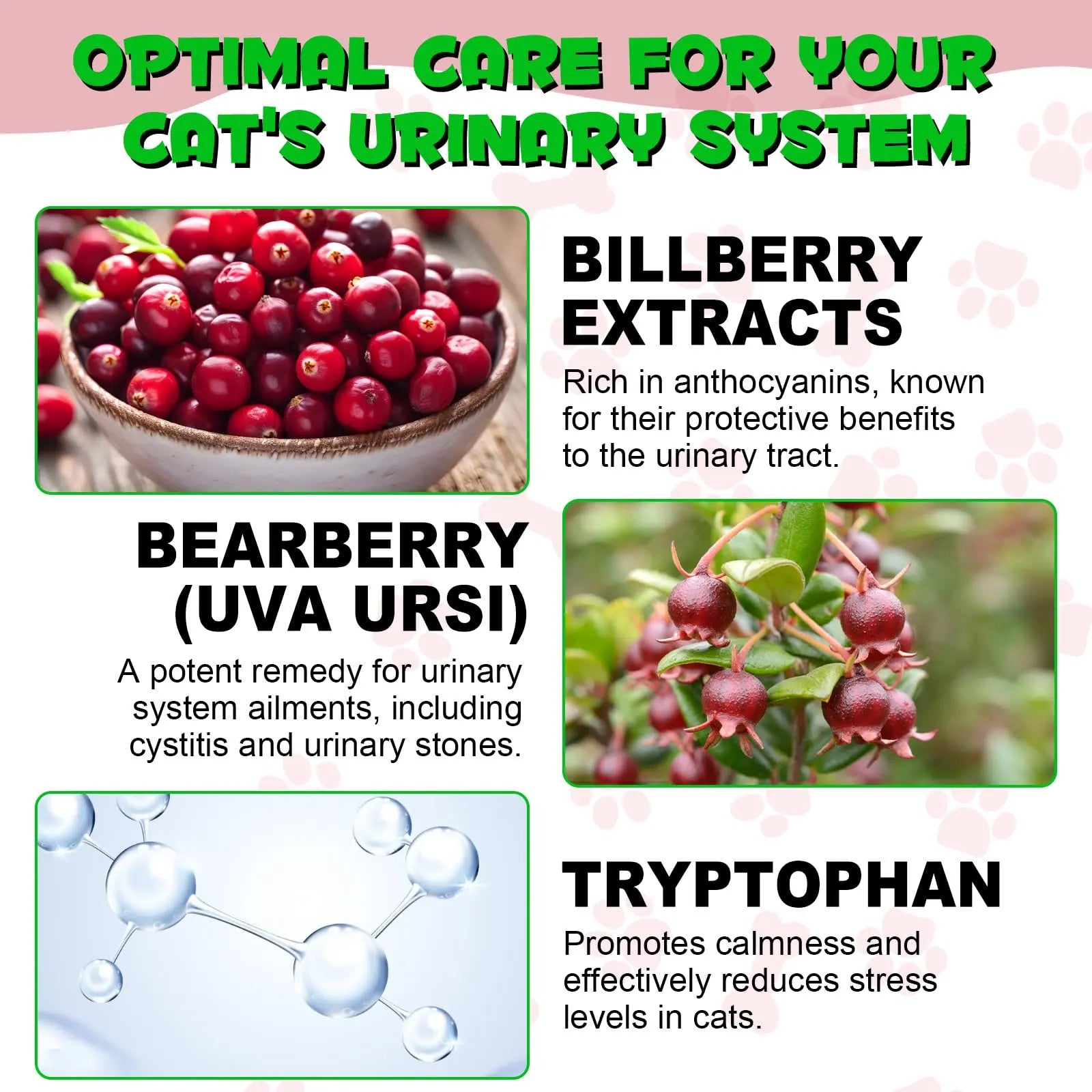 Cat Urinary Tract Infection Treatment, Cat UTI Treatment Drops Supports Bladder, Kidney Stone, Cranberry Kidney Bladder Support Supplement, Chicken Flavor, 60ml BTQAFVZT uk supplements
