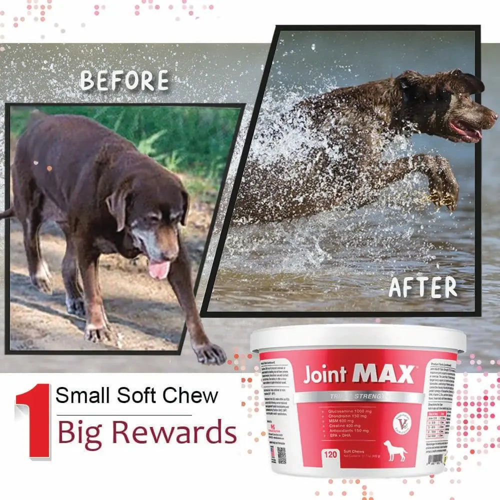 Joint Max TS Joint Supplement Vet Formulated Pain & Inflammation Relief Treats Hip Dysplasia & Arthritis, Glucosamine, Chondroitin, Turmeric, MSM, HA, Creatine, Omega 3 EPA + DHA.120 Soft Chews Joint Max uk supplements