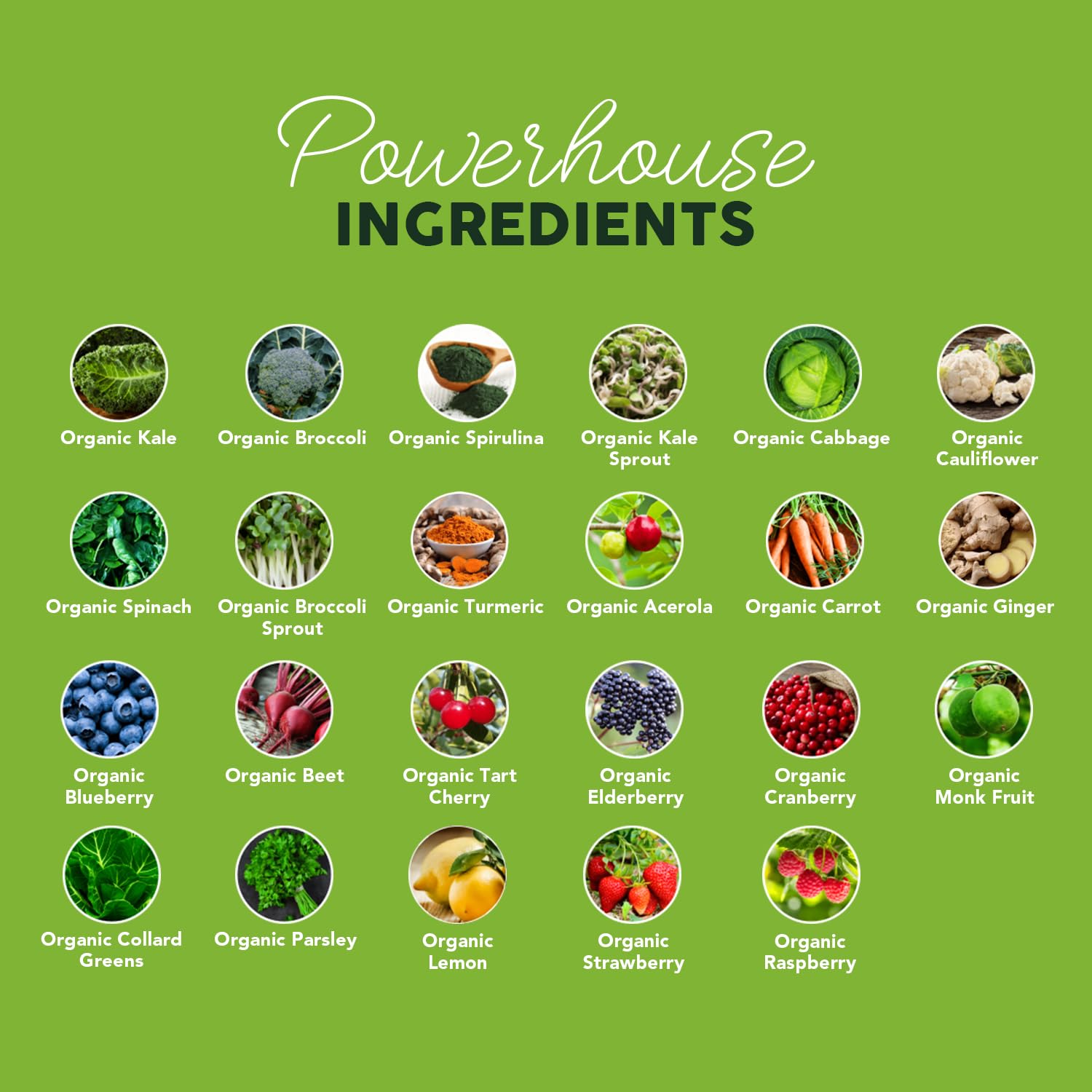 Paleovalley Organic Supergreens Powder - 23 Superfoods with Prebiotic Fiber for Energy and Immunity Support - No Cereal Grasses for Maximum Absorption - Pure Unflavored, 30 Servings Paleovalley uk supplements