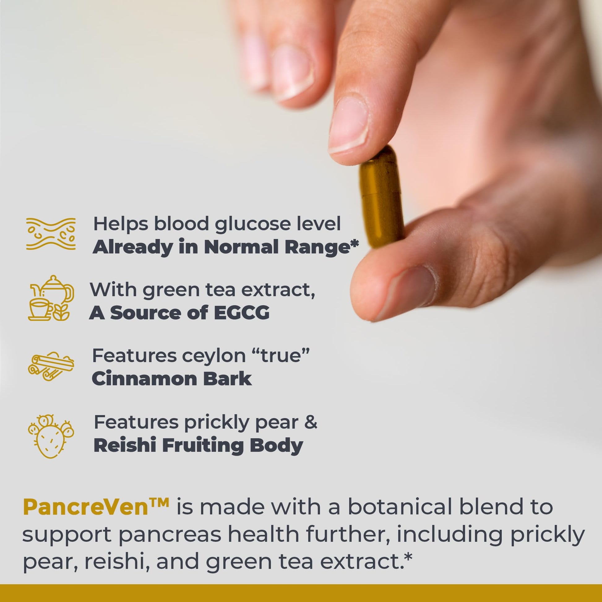 Premier Research Labs PancreVen - Pancreas Support, Pancreas Supplement, Cinnamon Supplements with Organic Ceylon Cinnamon & Prickly Pear to Aid Pancreas Health - 120 Vegetarian Capsules Premier Research Labs uk supplements