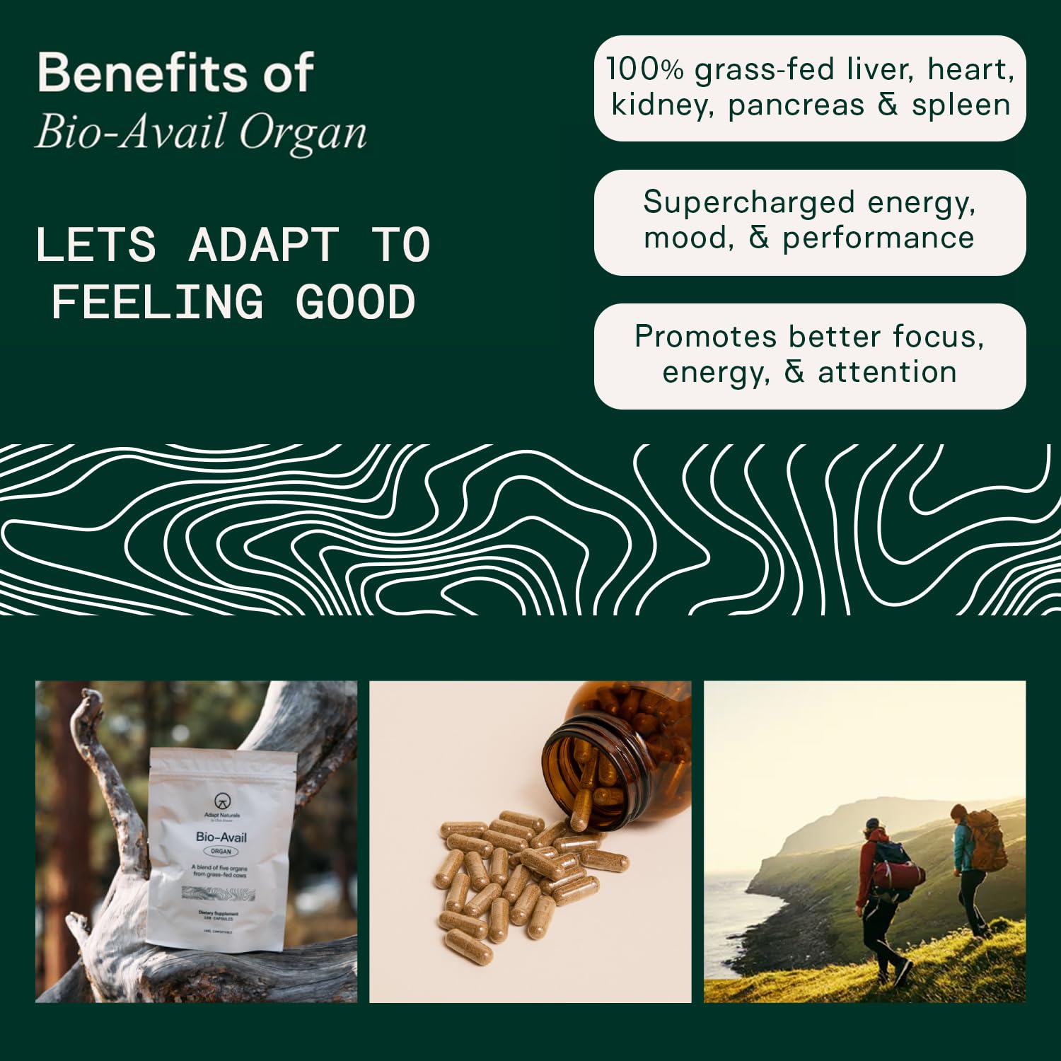 Adapt Naturals Organ Supplement, Bioavailable Grass Fed Beef Liver Capsules, Blend of Liver, Heart, Kidney, Pancreas & Spleen, Support Liver Cleanse Detox & Repair | Source of CoQ10-30 Days Supply ADAPT NATURALS BY CHRIS KRESSER uk supplements