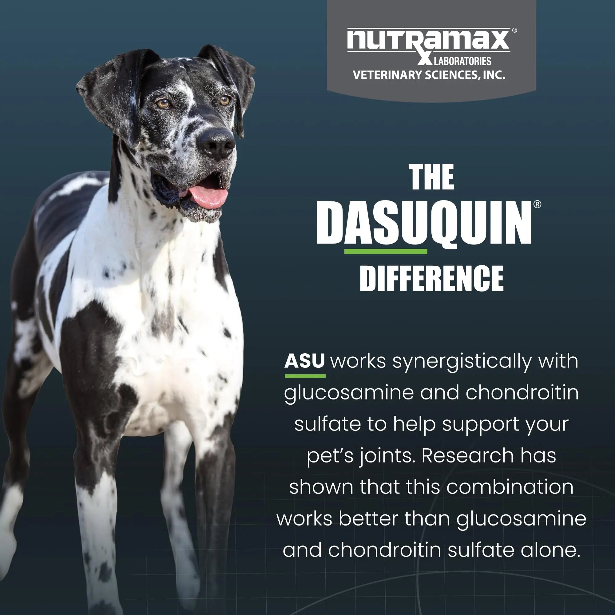 Nutramax Dasuquin for Large Dogs, Joint Health Supplement, Contains Glucosamine for Dogs, Plus Chondroitin, ASU, MSM and More, Supports Healthy Joints, Chewable Tablets, 150 Count Nutramax Laboratories uk supplements