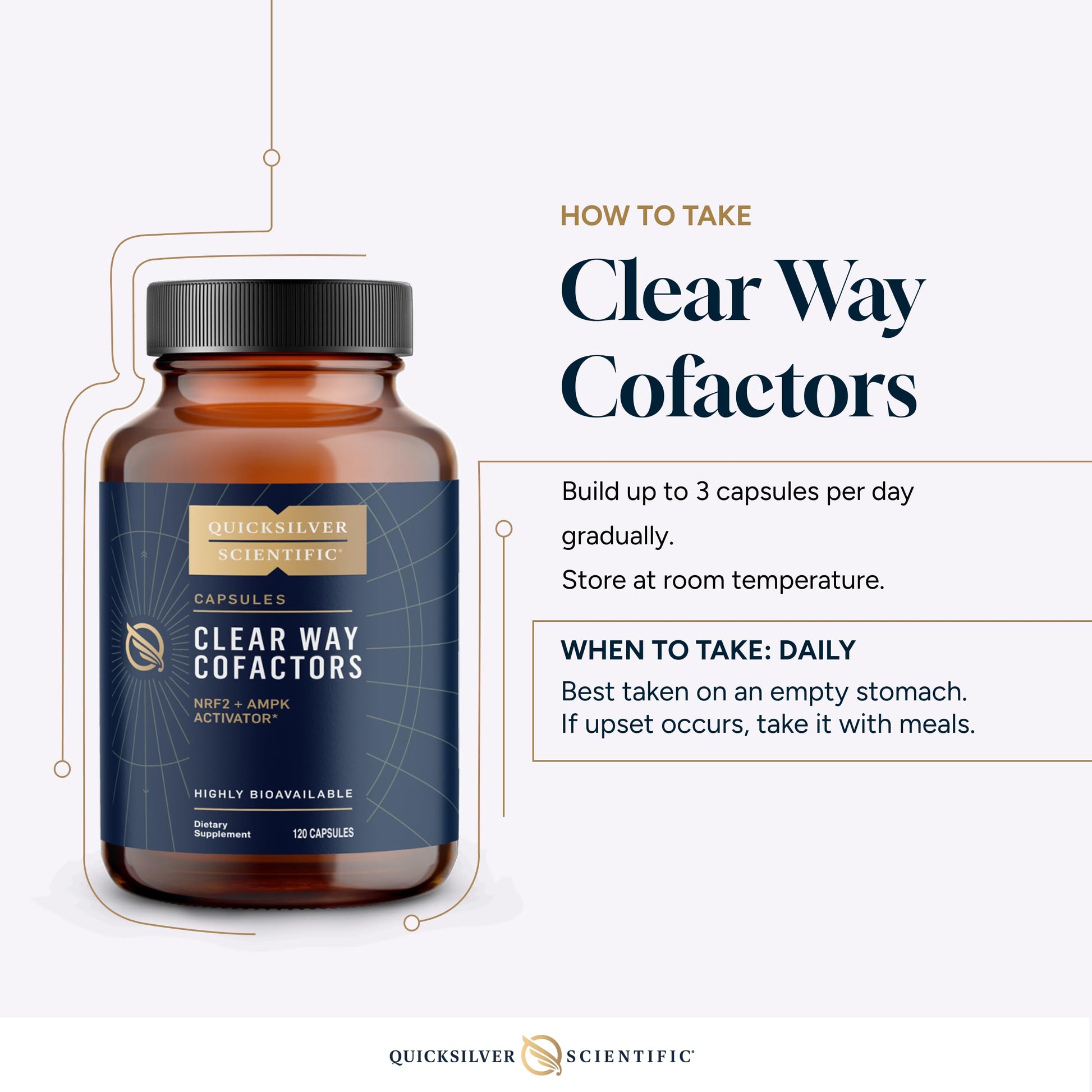 Quicksilver Scientific Clear Way Cofactors - Body Detox Cleanse Support with Vitamin B1, Dandelion Extract, Quercetin & Nattokinase Enzyme - Antioxidant Cleanse to Support Gut Health (120 Capsules) Quicksilver Scientific uk supplements