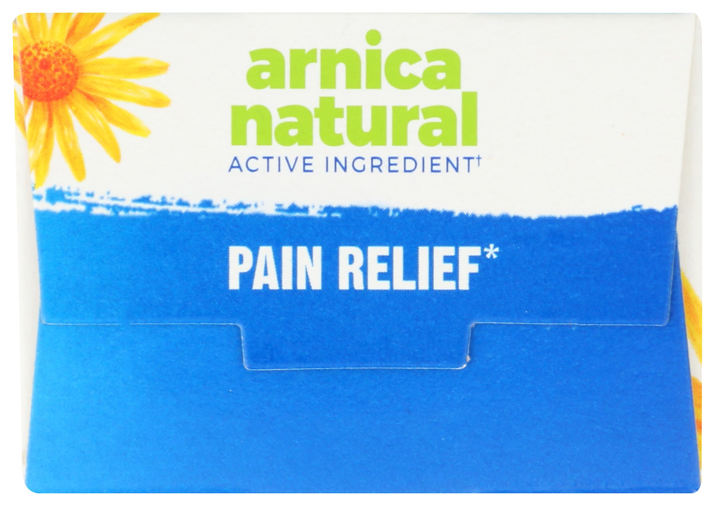 Boiron Arnicare Cream for Joint Pain, Muscle Pain, Swelling, Soreness, Stiffness, and Bruises - Fast Absorbing and Fragrance-Free - 4.2 oz Boiron uk supplements