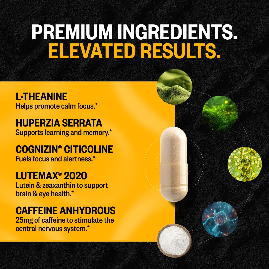 ONNIT Alpha Brain Black Label Capsules, IGEN Non-GMO Tested Citicoline Brain Supplement for Concentration and Memory, Lion’s Mane, Lutemax Lutein, L Theanine and Mucuna Pruriens, 80 Count ONNIT uk supplements