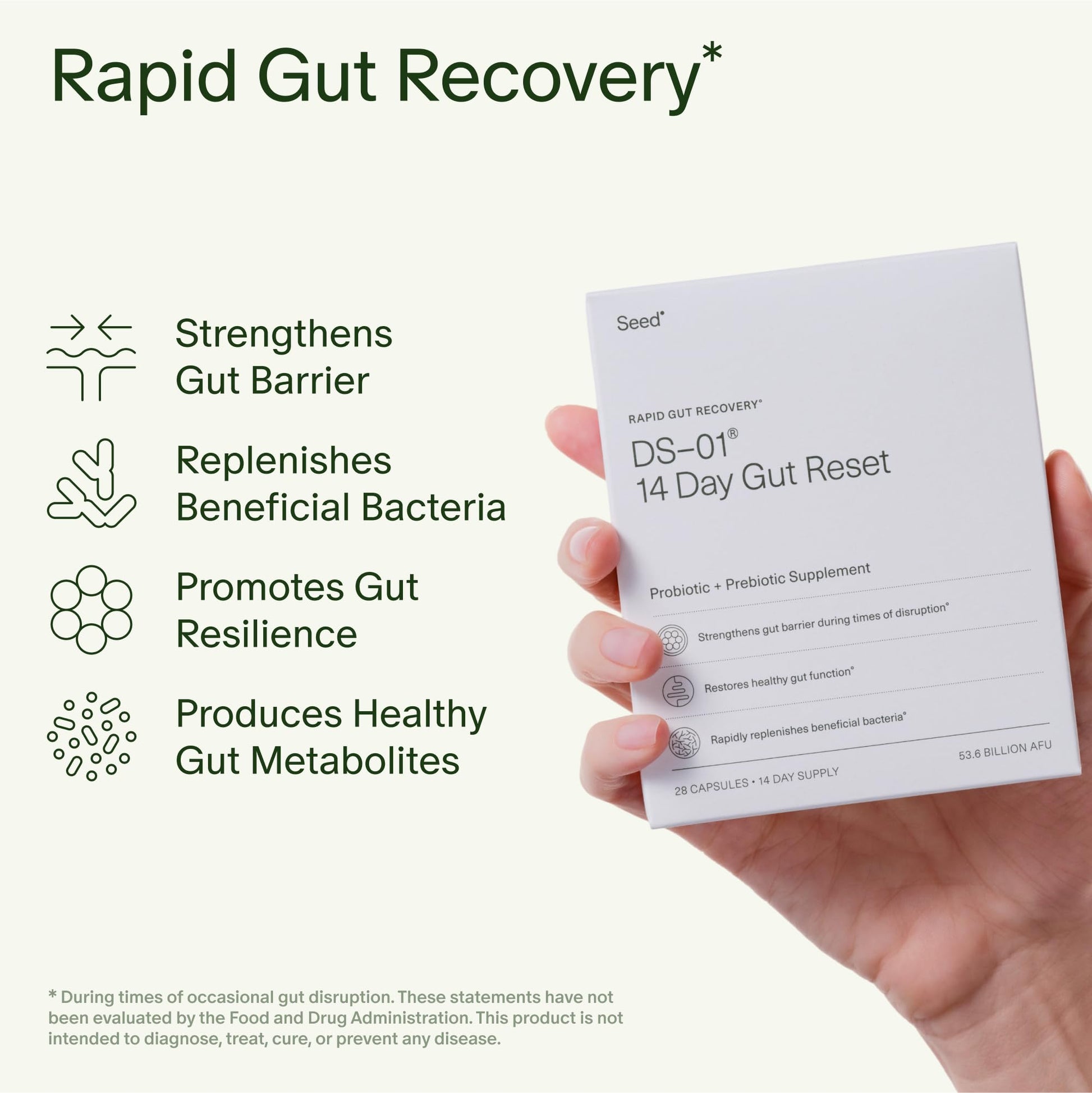 Seed 14 Day Gut Reset - Prebiotic and Probiotic for Women & Men - Digestive Health, Gut Health, Rapid Gut Recovery, Bloating & Constipation Relief - Vegan & Shelf-Stable - 28 Capsules (14-Day Supply) Visit the Seed Store uk supplements