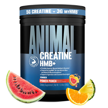 Animal Creatine HMB Powder – 3g myHMB + 5g Creatine with Electrolytes for Recovery & Daily Energy – Power Punch Flavor, 30 Servings Animal uk supplements