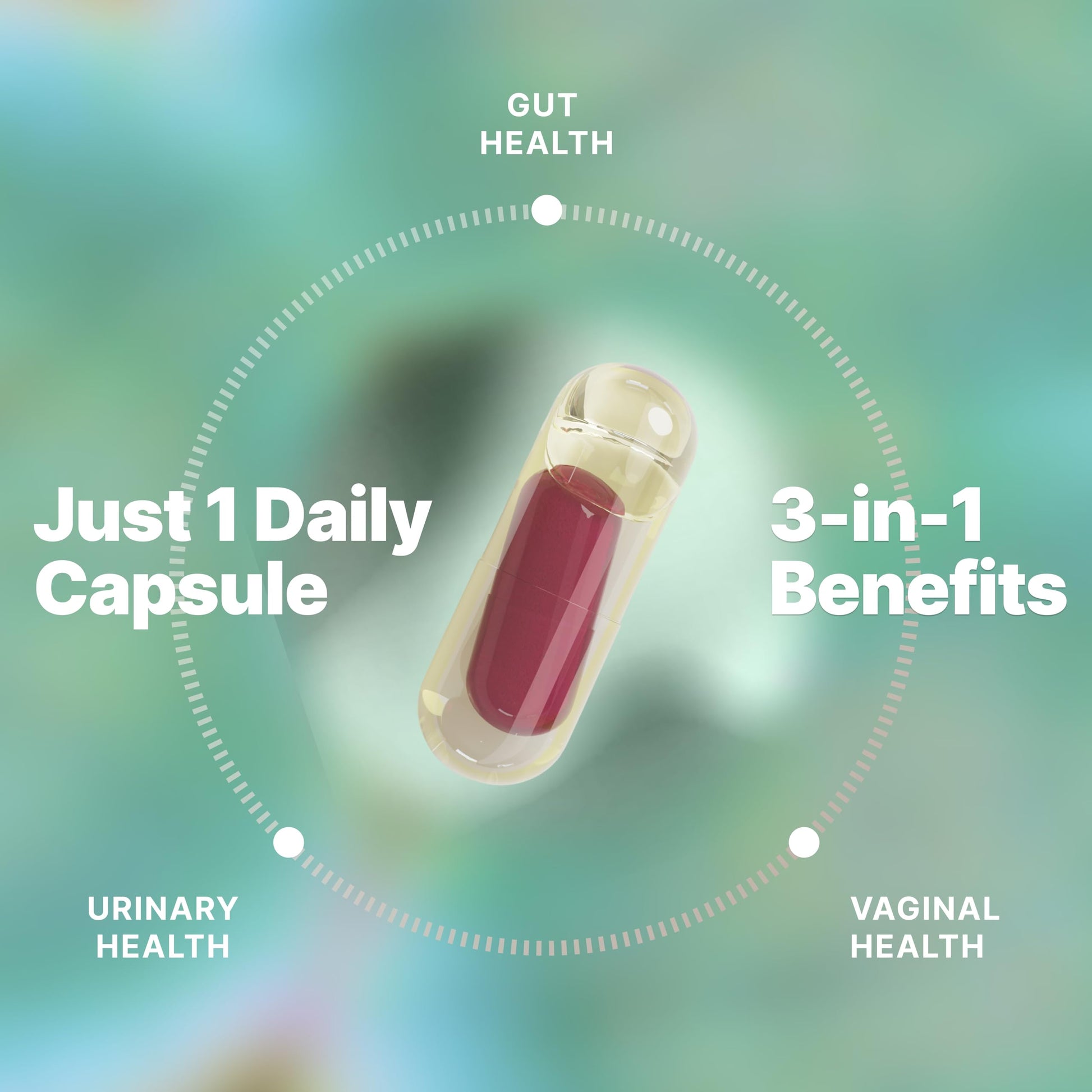 Evvy Women's 3-in-1 Complete Probiotic I Daily Probiotic Supplement to Reduce Bloating I Supports Gut, Urinary & Vaginal Health | Includes Vaginal Probiotics for Feminine Care | 30 Day Supply Evvy uk supplements