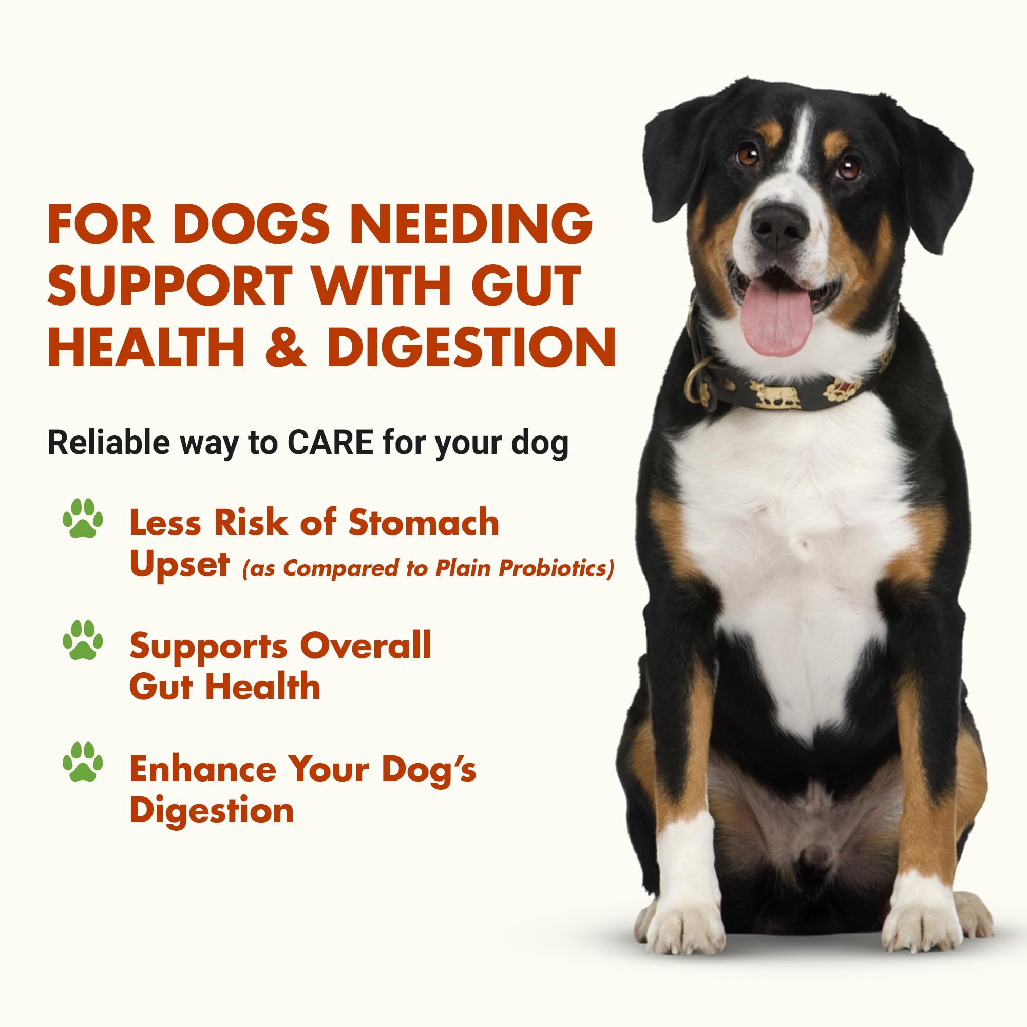 Pre & PostBiotic Support for Dogs – Digestive Upset, Stool Quality & Sensitive Stomach Support – Easy Liquid Formula for Picky Eaters LIQUID-VET uk supplements