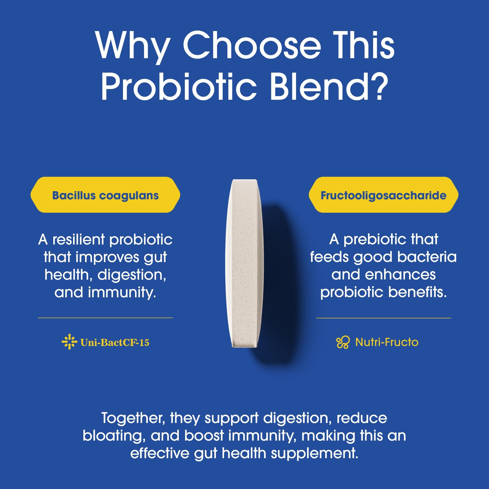 Nutrition Essentials Probiotics for Women and Men - with Lactase Enzyme and Prebiotic Fiber for Digestive Health - 80 Percent + More Potent Supplement for Gut Health Support - Vegan Formula Nutrition Essentials uk supplements
