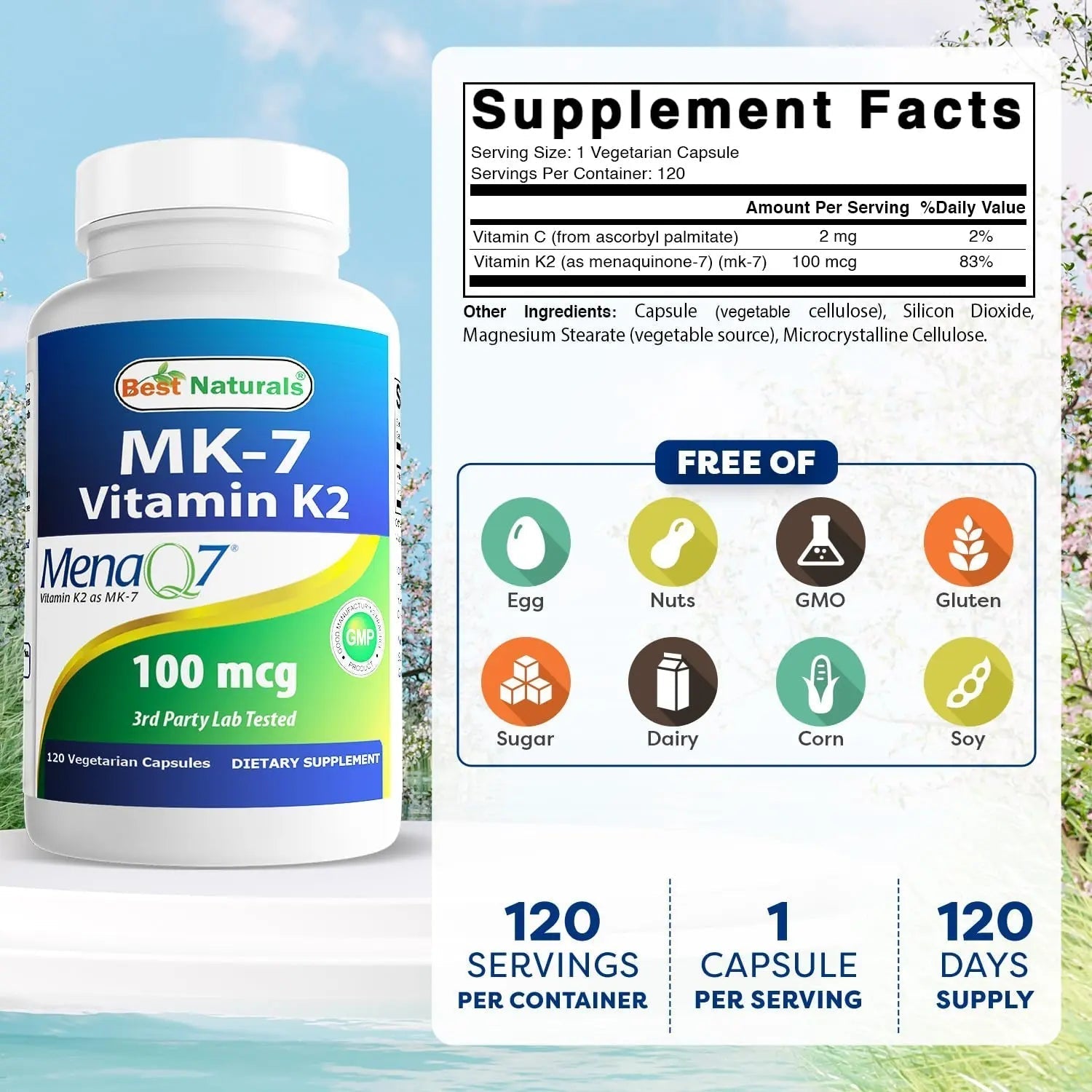 Best Naturals MK-7 Vitamin K2 100 mcg 120 Vcaps Best Naturals uk supplements
