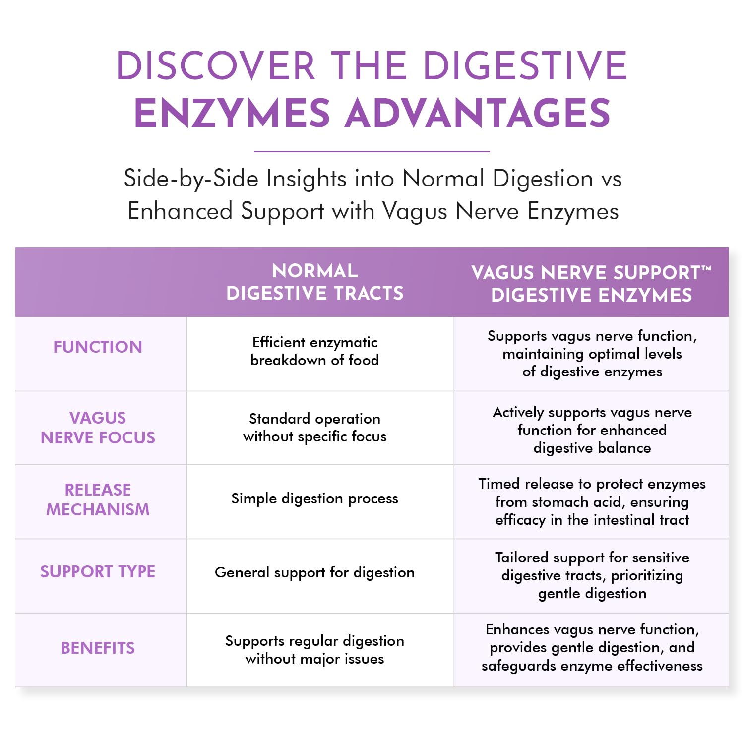 TJ Nutrition Digestive Enzymes for Sensitive Stomachs - Supports Vagus Nerve, Vegetarian Pancreatic Support, Timed Release Formula for Optimal Gut Health, Enhances Food Digestion & Gut Flora TJ Nutrition uk supplements