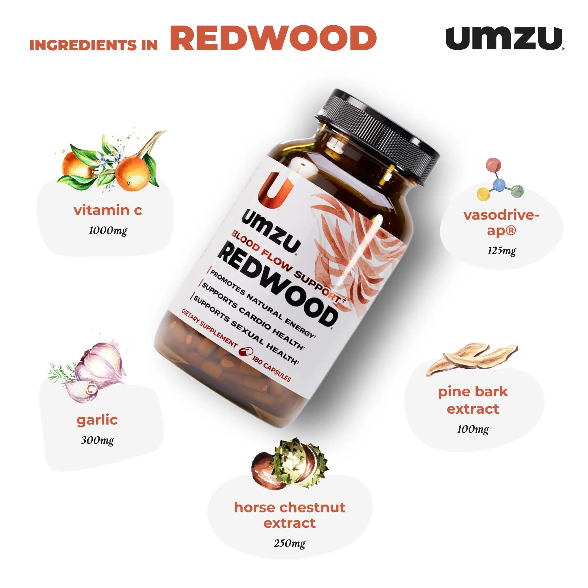 UMZU Redwood Nitric Oxide Booster, (30 Day Supply) – Vitamin C, Garlic & Horse Chestnut – Healthy Circulation & Endurance – Daily Cardiovascular Support Nitric Oxide UMZU uk supplements