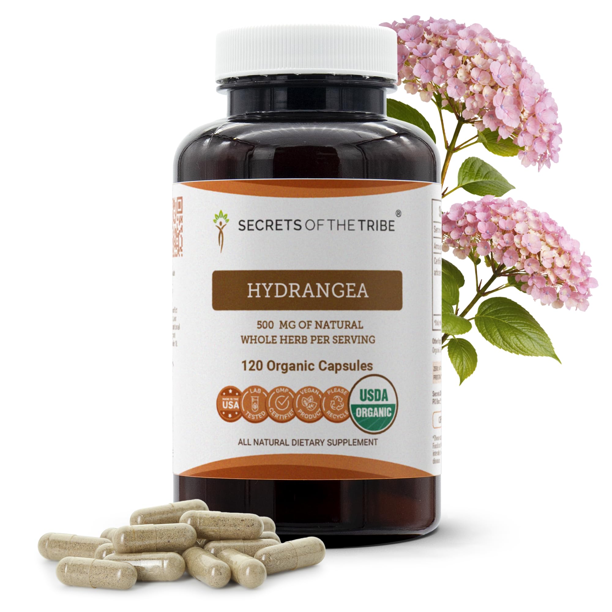 Secrets of the Tribe Hydrangea USDA Organic Capsules | Certified Organic Vegetarian Capsules, Herbal Dietary Supplement | Hydrangea arborescens Dried Root (120 Count) Secrets of the Tribe uk supplements