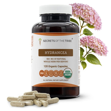 Secrets of the Tribe Hydrangea USDA Organic Capsules | Certified Organic Vegetarian Capsules, Herbal Dietary Supplement | Hydrangea arborescens Dried Root (120 Count) Secrets of the Tribe uk supplements