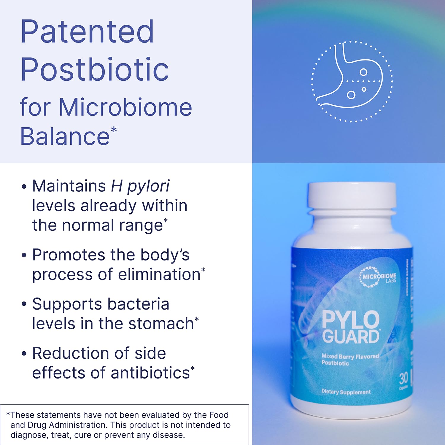 Microbiome Labs PyloGuard - Patented L reuteri DSM17648 to Improve Digestive Comfort - Gut Health & Immune Support Supplement - Postbiotic (30 Capsules) Microbiome Labs uk supplements