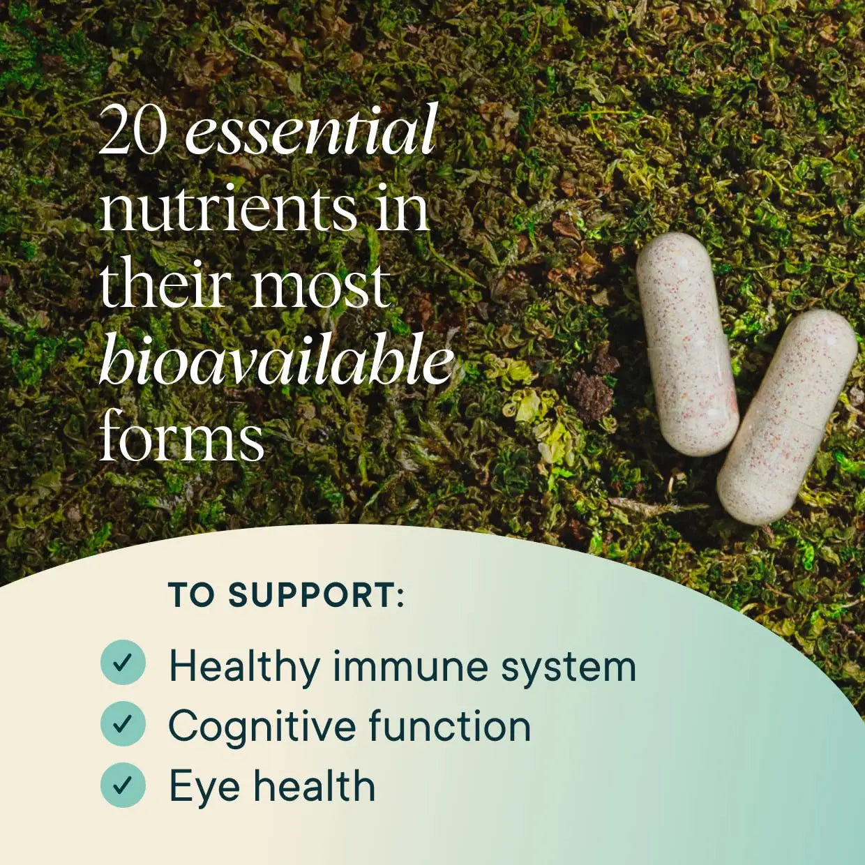 Ora Organic Plant Based Multivitamin for Women and Men, Bluelight Protection - Brain, Eye, Energy, Immune, Skin, Hair, Heart Ora Organic uk supplements