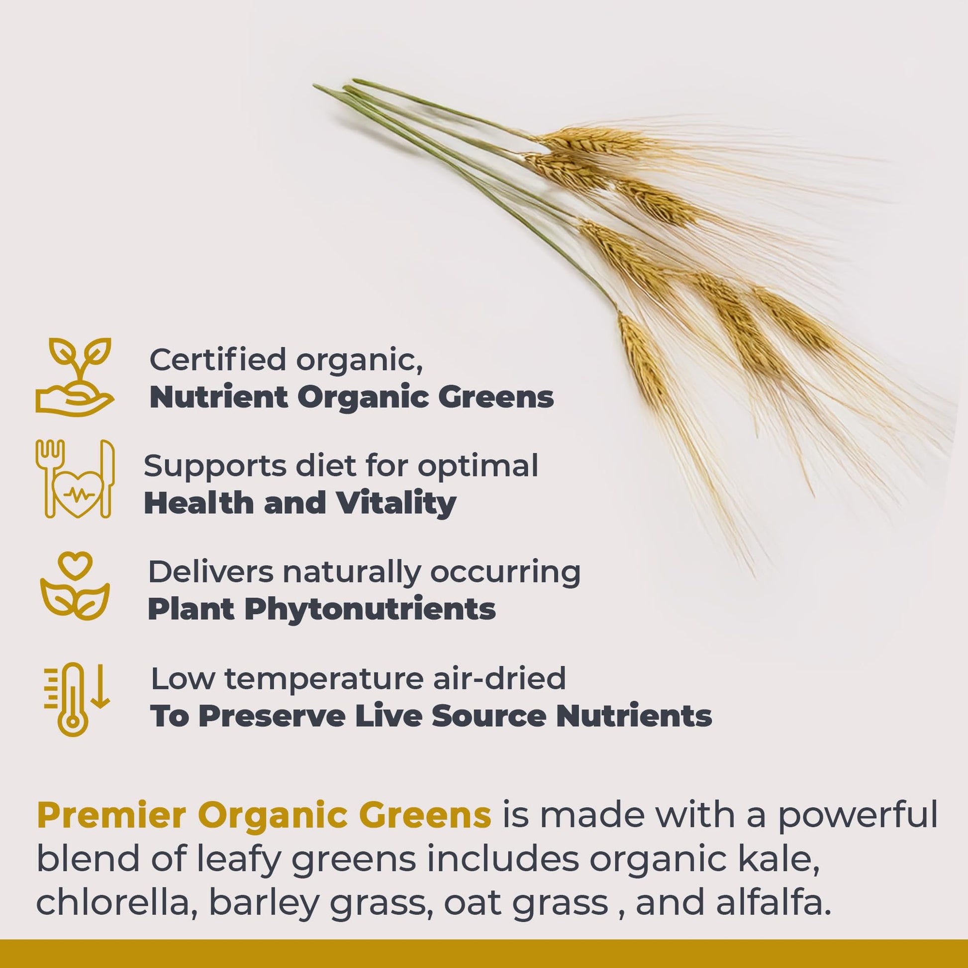 Premier Research Labs Premier Organic Greens - Super Greens Powder, Greens Superfood Powder for Drinks, Green Juice, Nutrition Support, Supergreens for Men & Women, Spinach, Alfalfa, Chlorella - 10 oz Premier Research Labs uk supplements
