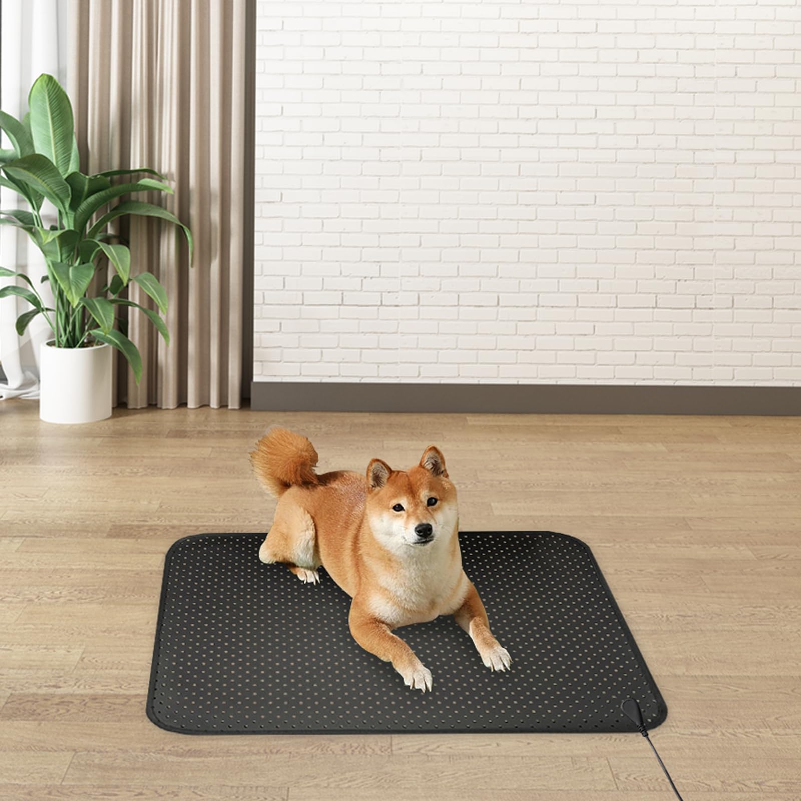 EOHELGRO Grounding Mat, Earth Grounding Mat for Sleeping, Earth Mat Grounding Pad for Energy EOHELGRO uk supplements