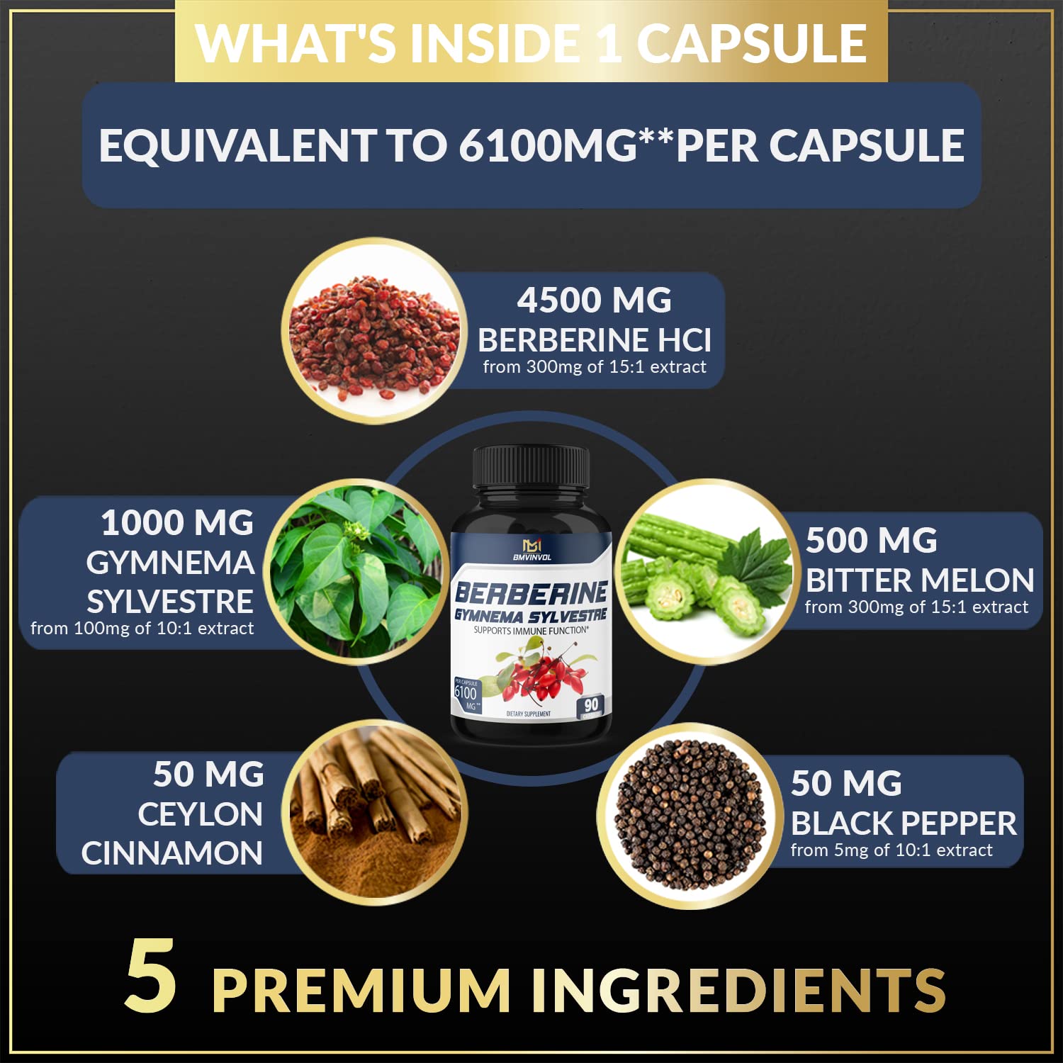BMVINVOL 5-in-1 Berberine Supplement 6100mg with Ceylon Cinnamon, Gymnema BMVINVOL uk supplements
