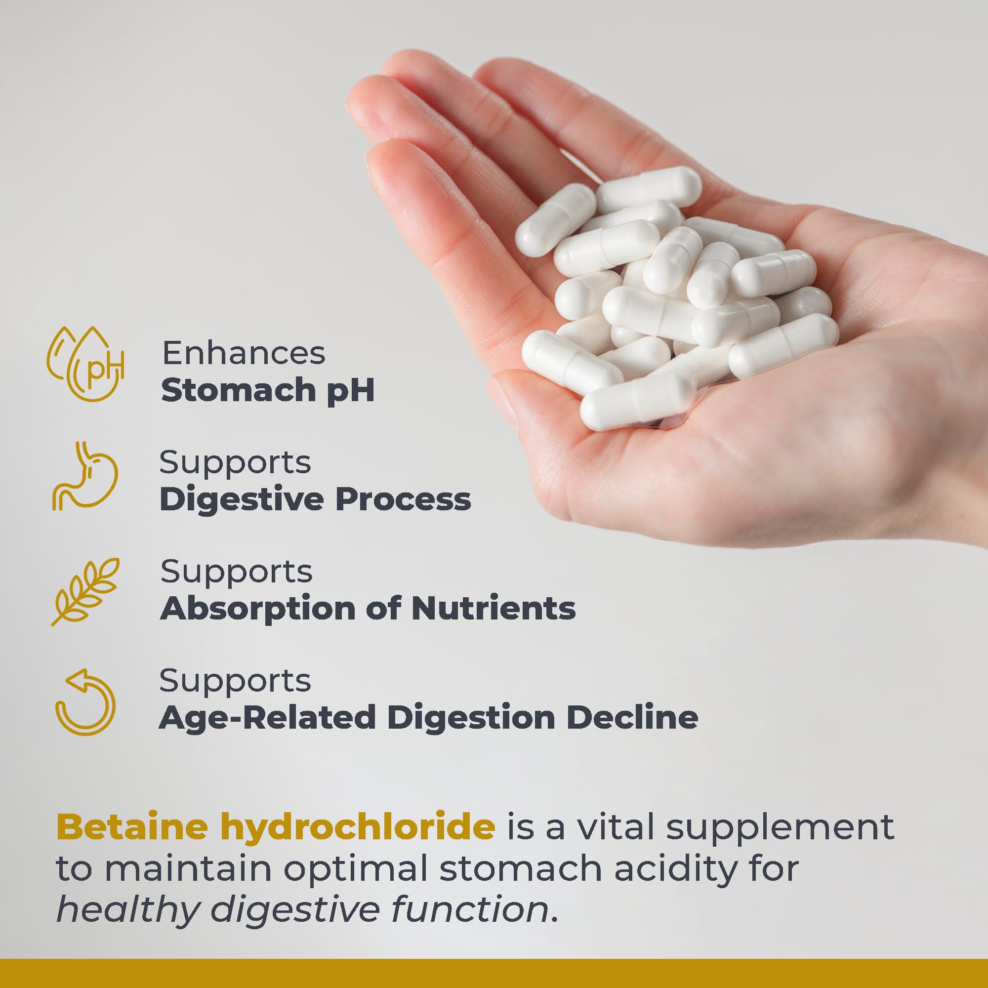 Premier Research Labs Premier HCL - Betaine HCL, Betaine Hydrochloride Supplement for Optimal Digestive Function, Nutrient Absorption, Betaine-HCL for Low Stomach Acid- 90 Vegetarian Capsules (2 Pack) Premier Research Labs uk supplements