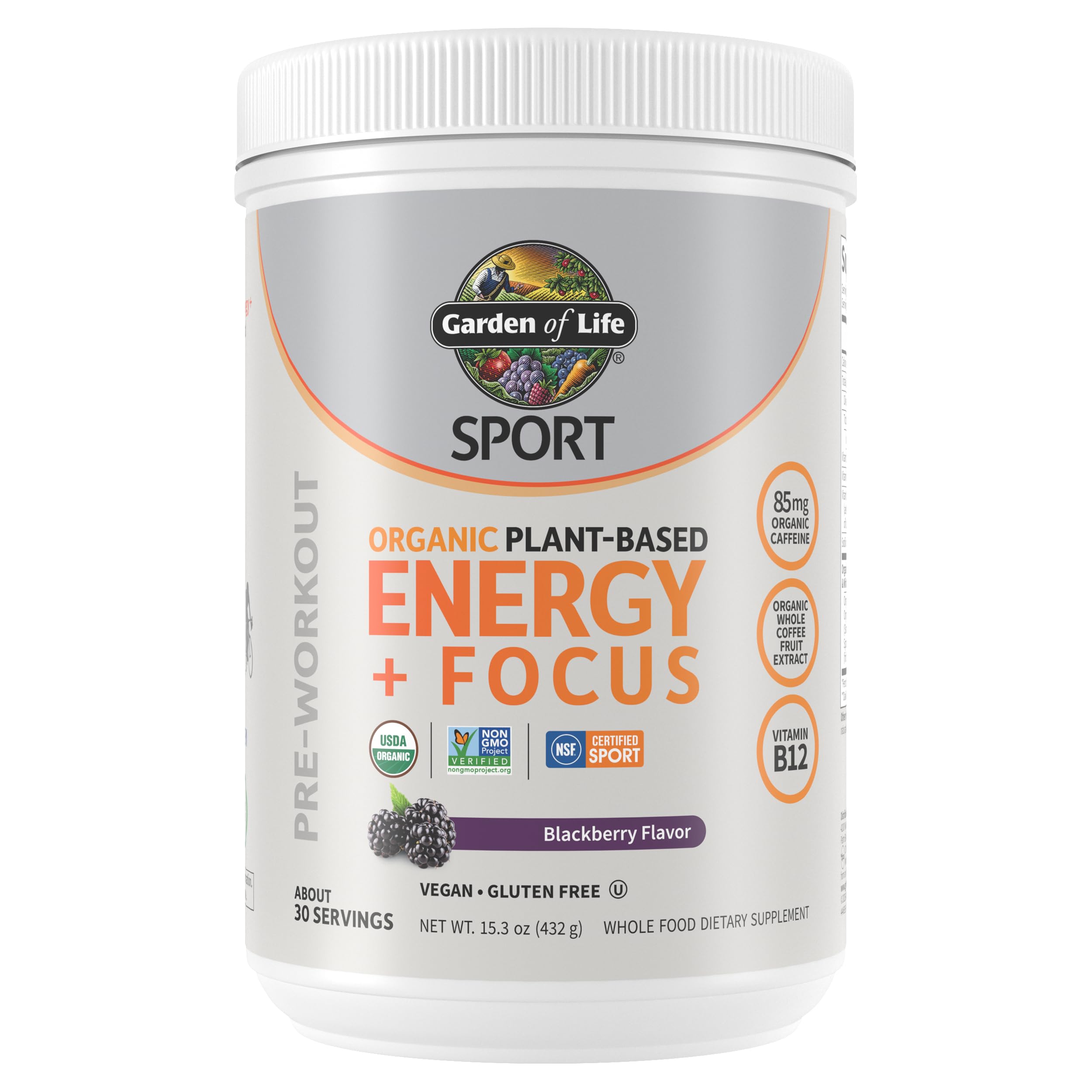 Garden of Life Sport Organic Plant Based Energy + Focus Clean Pre Workout Powder, with 85mg Caffeine, Natural No Booster, B12, Vegan, Gluten Free, Non-GMO, BlackBerry, 15.3 Oz Garden of Life uk supplements