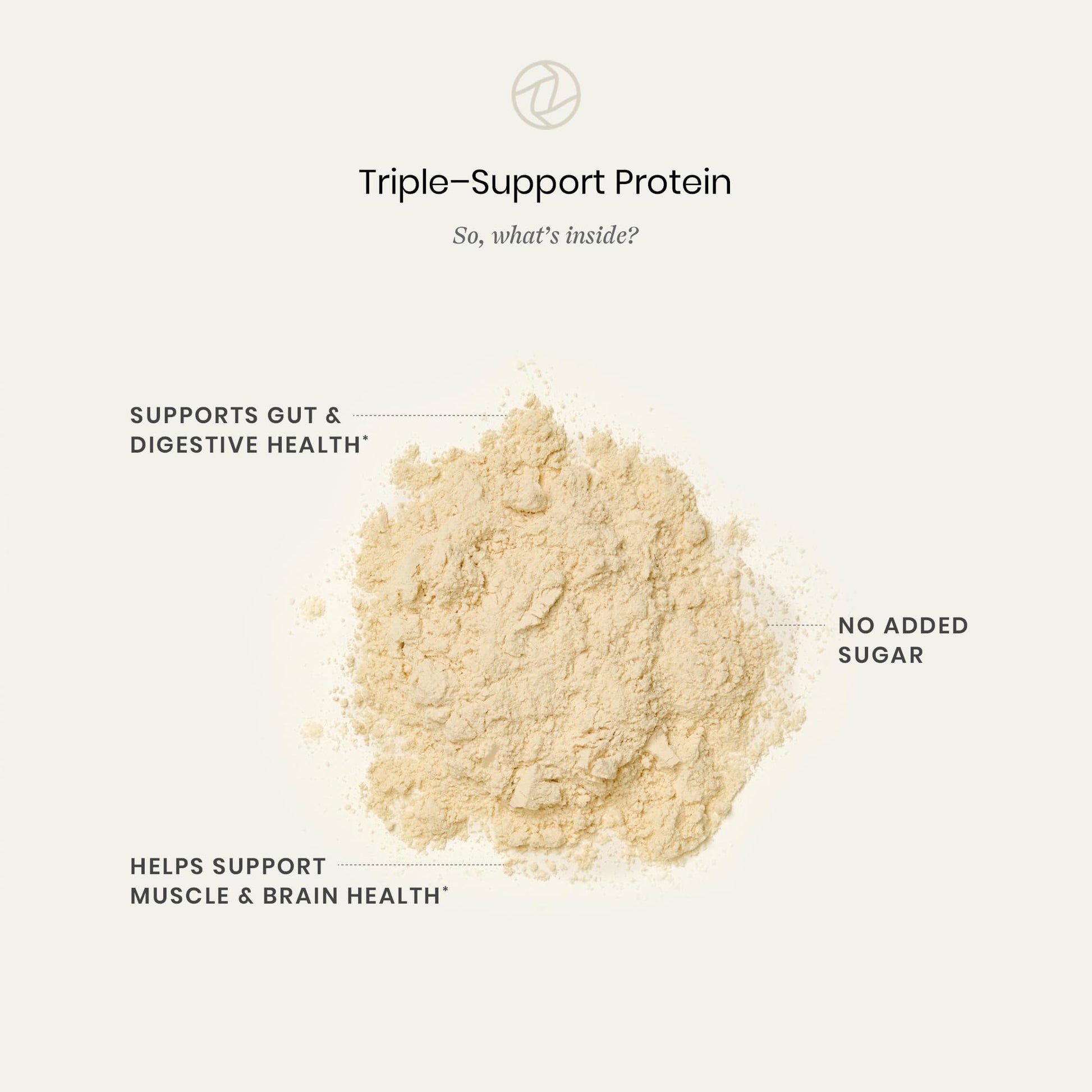 Perelel Triple-Support Plant Based Protein Powder, Creamy Vanilla, 20g Vegan Protein Powder, 3g Creatine Monohydrate, & 5g Prebiotic Fiber per Serving, Dairy Free, Perelel uk supplements