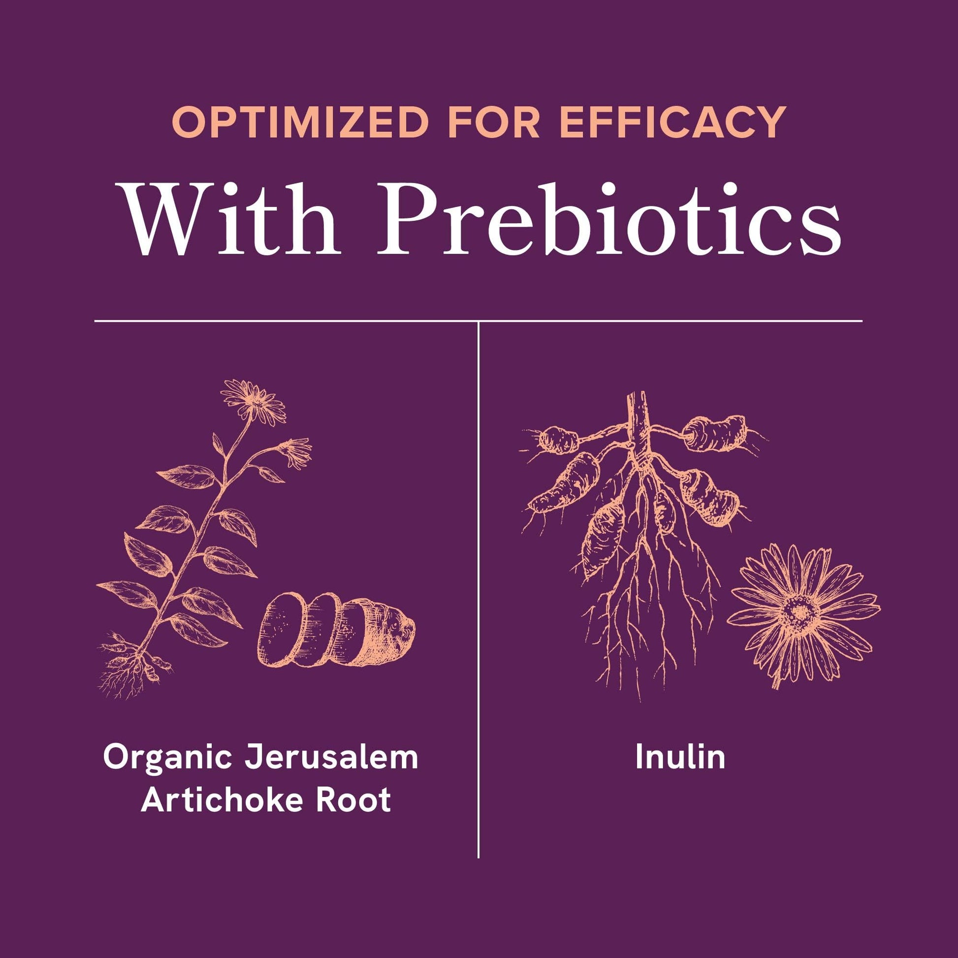 Menopause Support with Prebiotics and Probiotics for Women | Hormone Balance, Hot Flashes & Night Sweats | 50 Billion CFU, DIM & Black Cohosh | Triple Action Menopause Supplements for Women | 30 Ct SMNutrition uk supplements