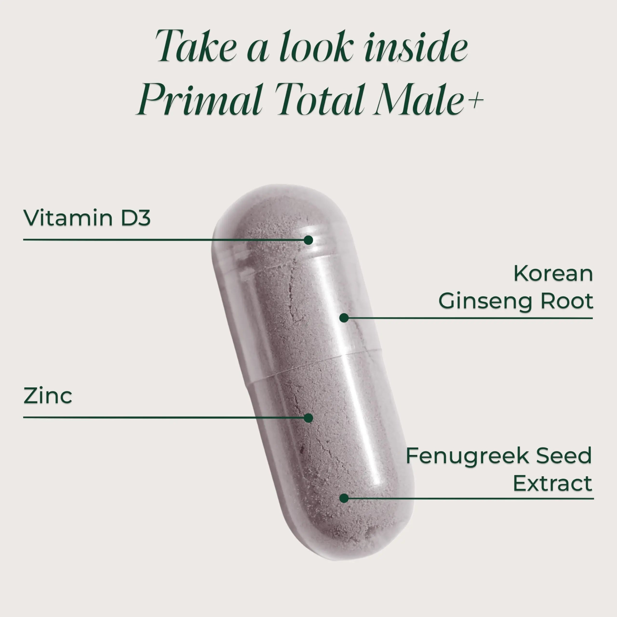 Primal Harvest Total Male+ Multivitamin for Men Vitamins, Minerals and Herbal Support for Energy, Vitality, Immune Health Primal Harvest uk supplements