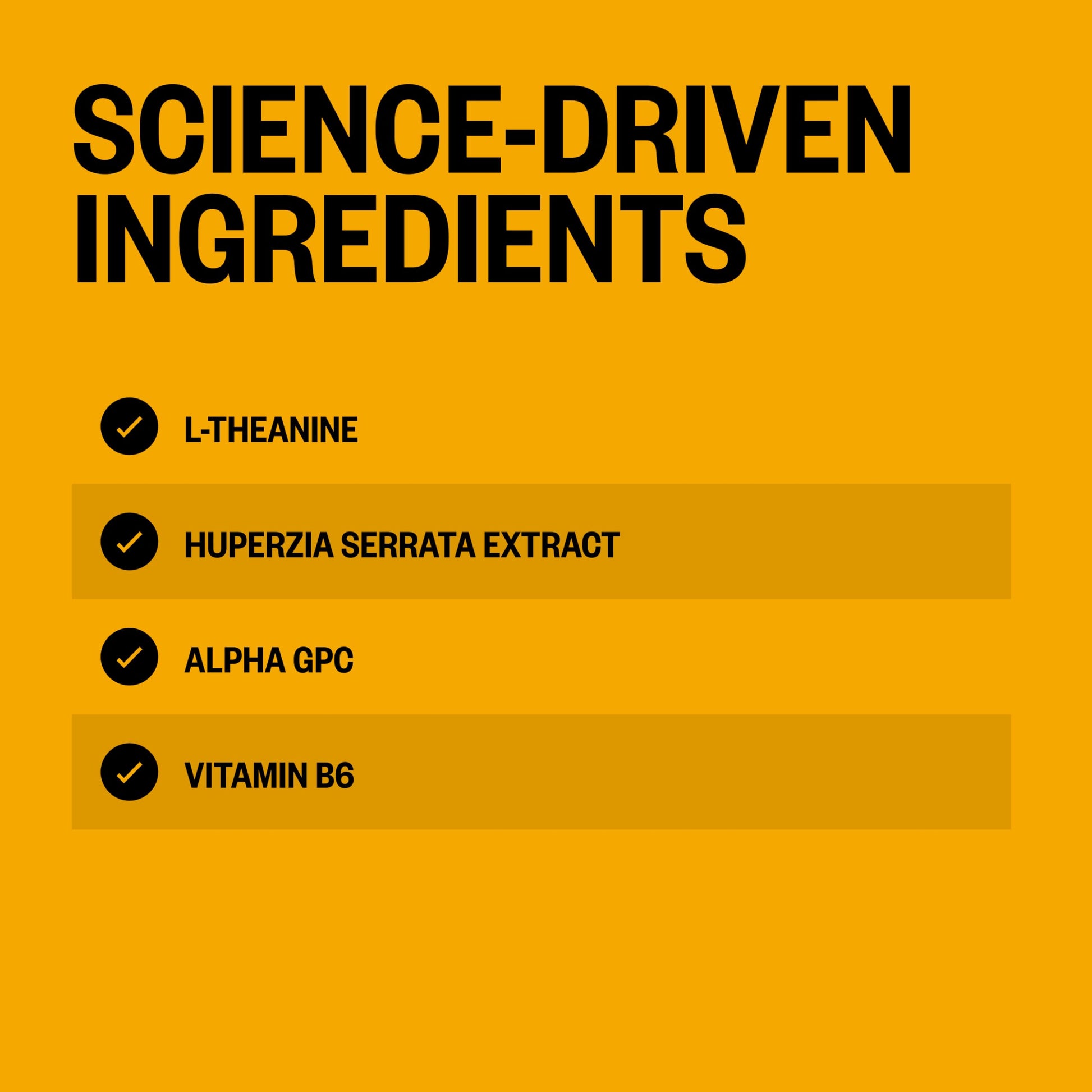 ONNIT Alpha Brain Instant Cognitive Support Drink Mix, Nootropic Supplement for Focus, Memory and Clarity, Peach Flavor, 0.13 oz Packets, 30 Count ONNIT uk supplements