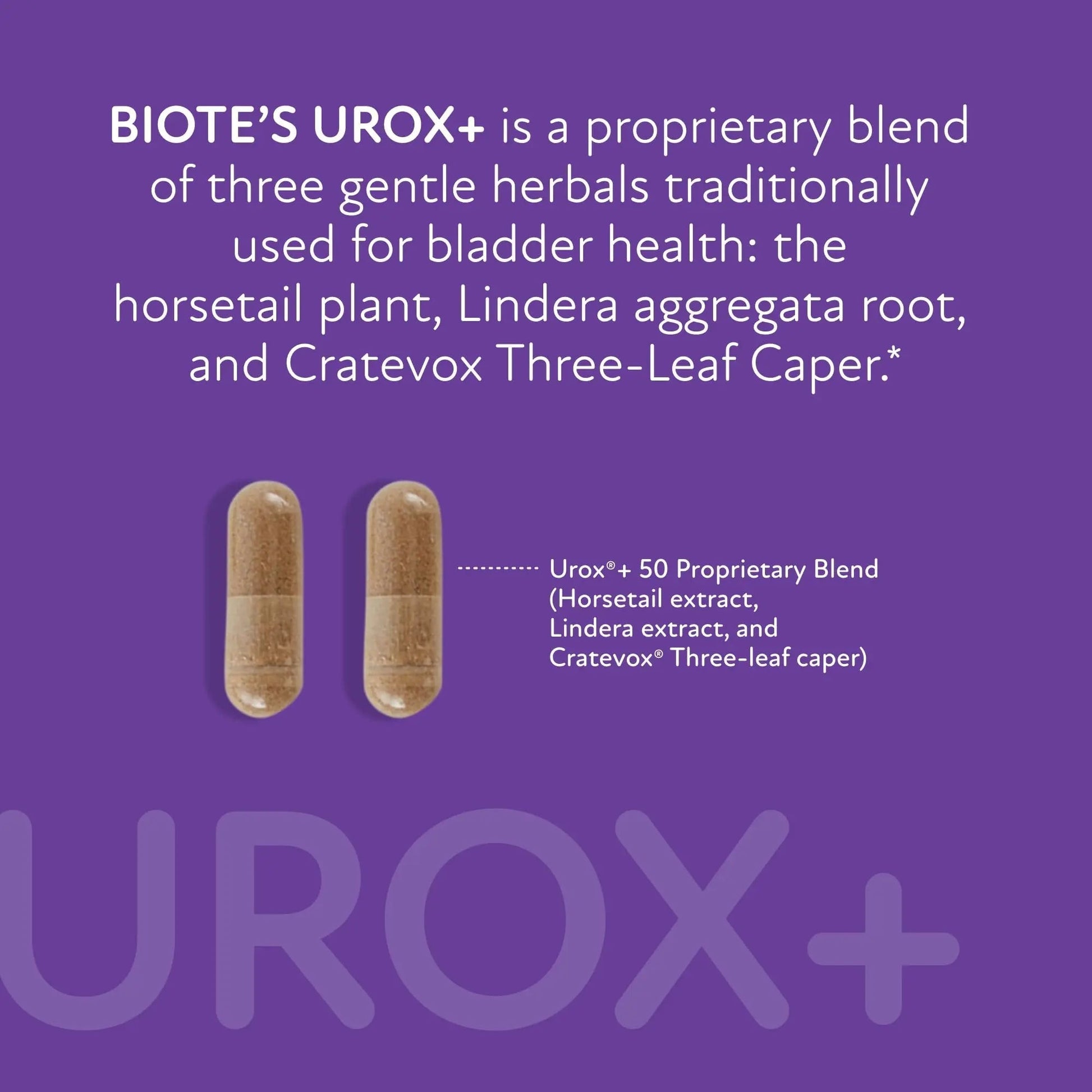 Biote Nutraceuticals - Urox+ - Bladder Health (60 Capsules) Biote uk supplements