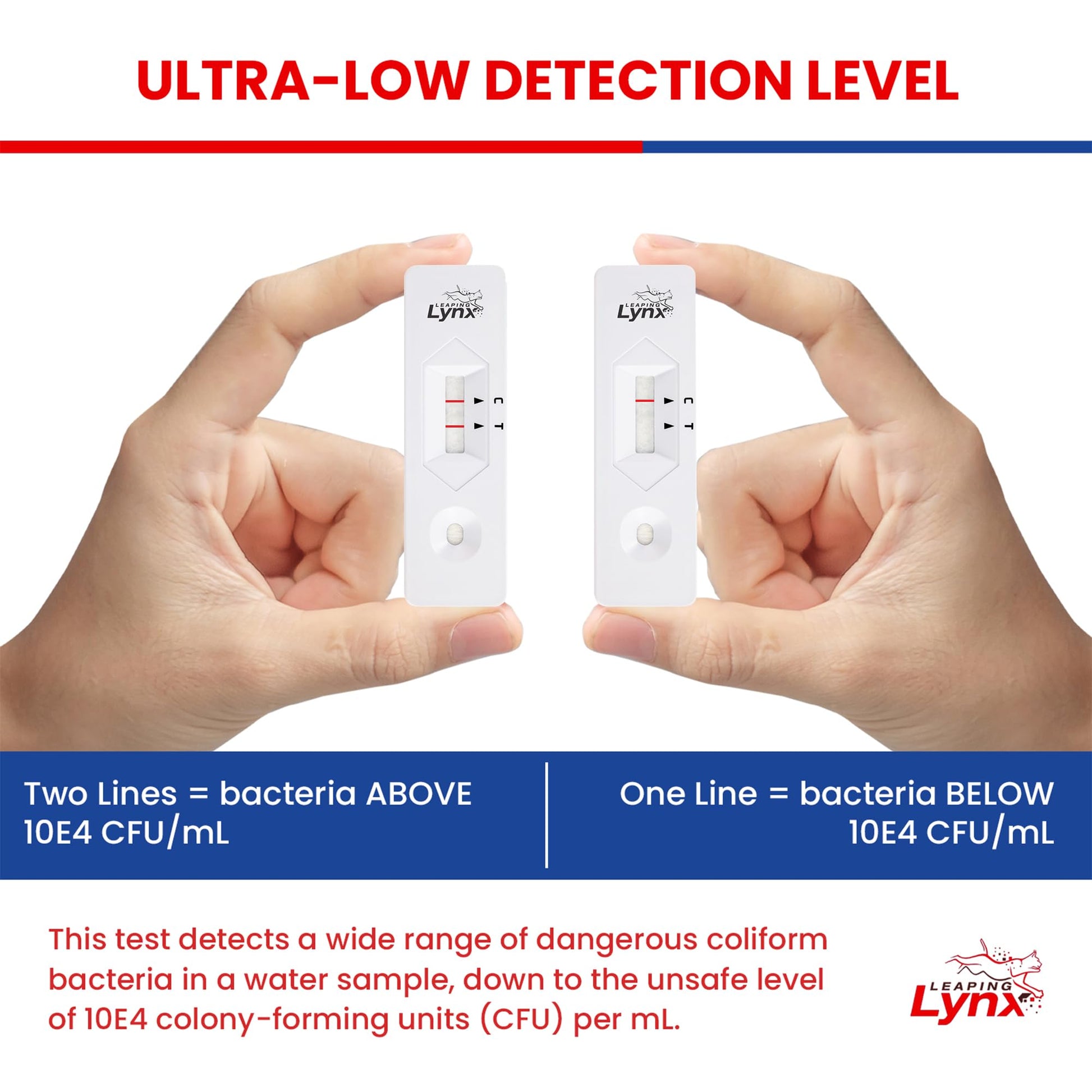 Bacteria Water Test Kit – Coliform, E. coli & Salmonella Detection for Well & Tap Water | Rapid Home Drinking Water Screening Kit with Lab-Quality Results | Leaping Lynx Leaping Lynx uk supplements