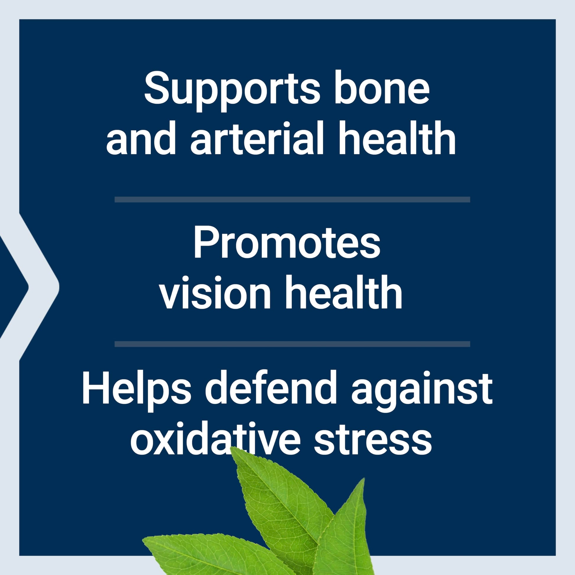 Life Extension Once-Daily Health Booster, Vitamins E, K1 & K2, phospholipids, Fat-Soluble nutrients for Eye Health, Bone Health, Heart Health, Gluten-Free, 1 Daily, Non-GMO, 30 softgels Life Extension uk supplements